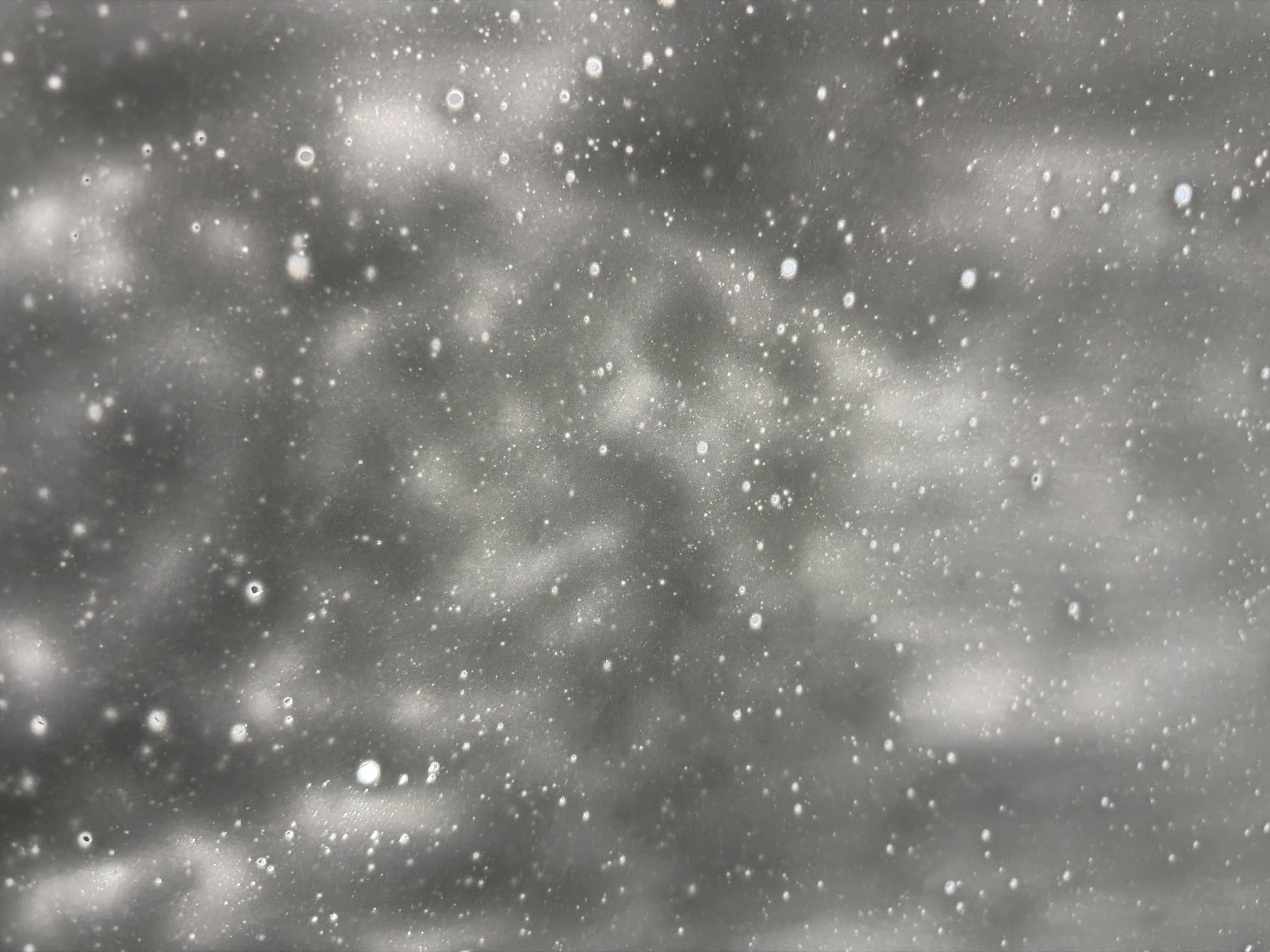 The image presents a close-up, grayscale view of a surface covered in numerous small, circular bubbles. The background appears to be a textured, clouded surface, possibly a liquid or viscous substance. The bubbles vary in size and are scattered irregularly across the frame, some clustered together and others more isolated. There is no indication of the image's location being in Chaikovsky, Russia, or any identifiable people, subjects, objects, or actions. The environment depicted is limited to the immediate surface and lacks broader contextual information.