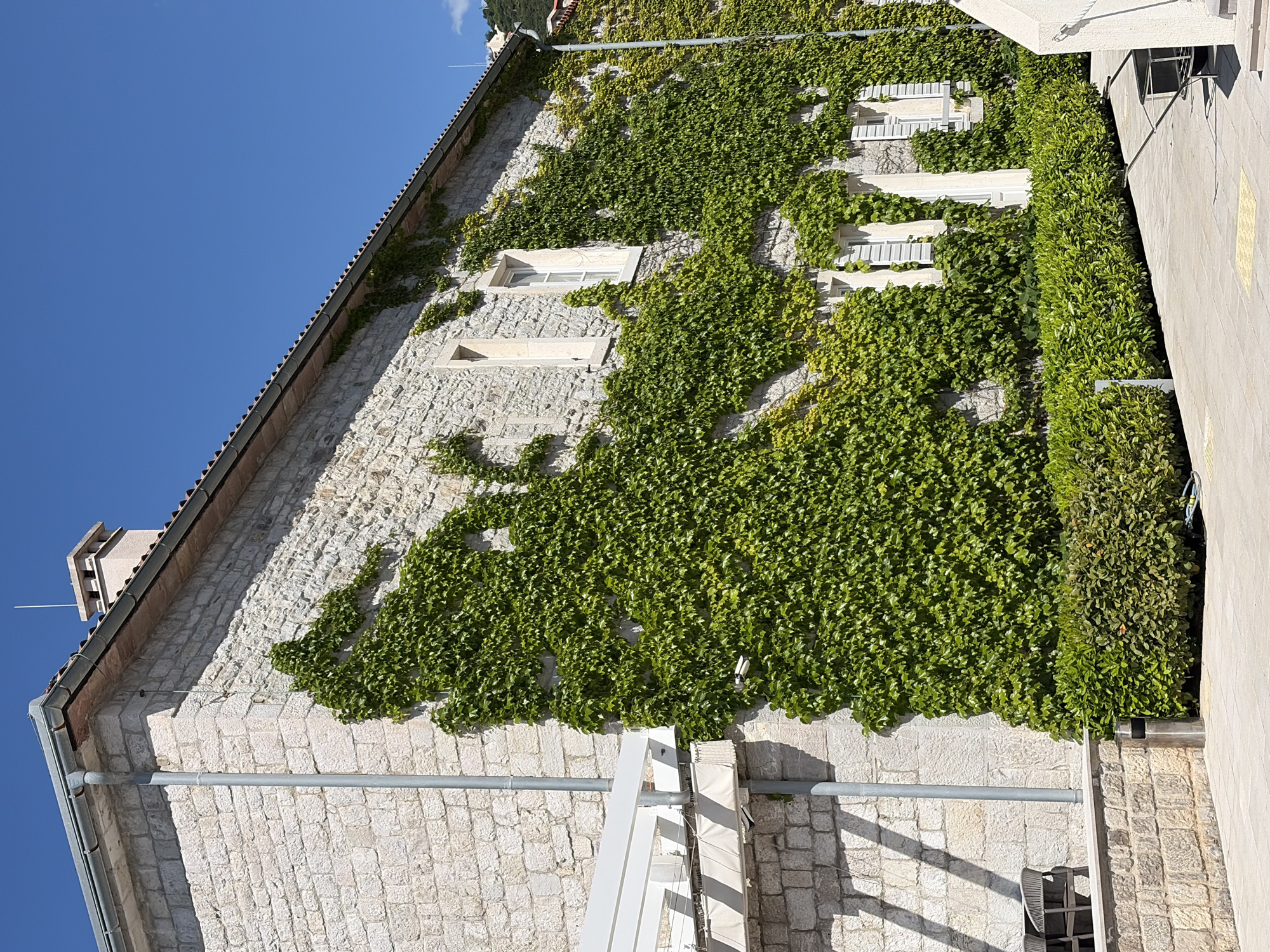 A stone building covered in green ivy stands in Meljine, Montenegro, under a clear blue sky. The building is constructed of light-colored, roughly-cut stones and features several white-framed windows. The ivy covers much of the building's facade, growing densely around the windows. A portion of the building's roof is visible, along with a chimney. To the right of the building, a sidewalk is seen, partially shaded. A metal pipe runs horizontally along the wall, and a white awning structure is partially visible at the bottom of the frame.