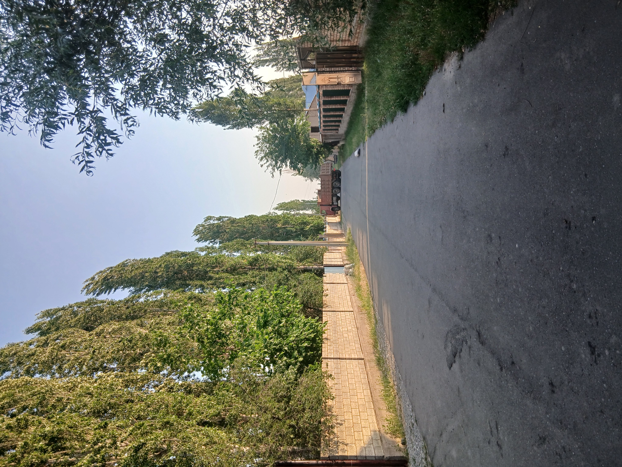 The image depicts a street scene in an outdoor setting, likely in Тайгараев, Kyrgyzstan. The perspective is low, looking upwards and to the side.
The primary subjects are the natural elements and man-made structures. Lush green trees with dense foliage dominate the left and far sides of the frame, their branches reaching towards a clear, pale blue sky. Some of the trees appear to be shedding small, light-colored blossoms. A brick-paved walkway runs alongside the street, bordered by grass and gravel. The street itself is asphalted and appears wet in places, suggesting recent rain or watering.
In the distance, along the right side of the street, are buildings constructed with brick and wood, some appearing partially built or renovated. A red truck with multiple wheels is parked on the side of the road. A white object, possibly a helmet, is visible near the truck.
The time of day appears to be late afternoon or early evening, judging by the soft, diffused light and the long shadows cast by the trees. The weather seems pleasant, with a clear sky. The overall mood is tranquil and perhaps a bit rural, with the natural elements blending with the built environment. No people are visible in the image. There is no visible text.