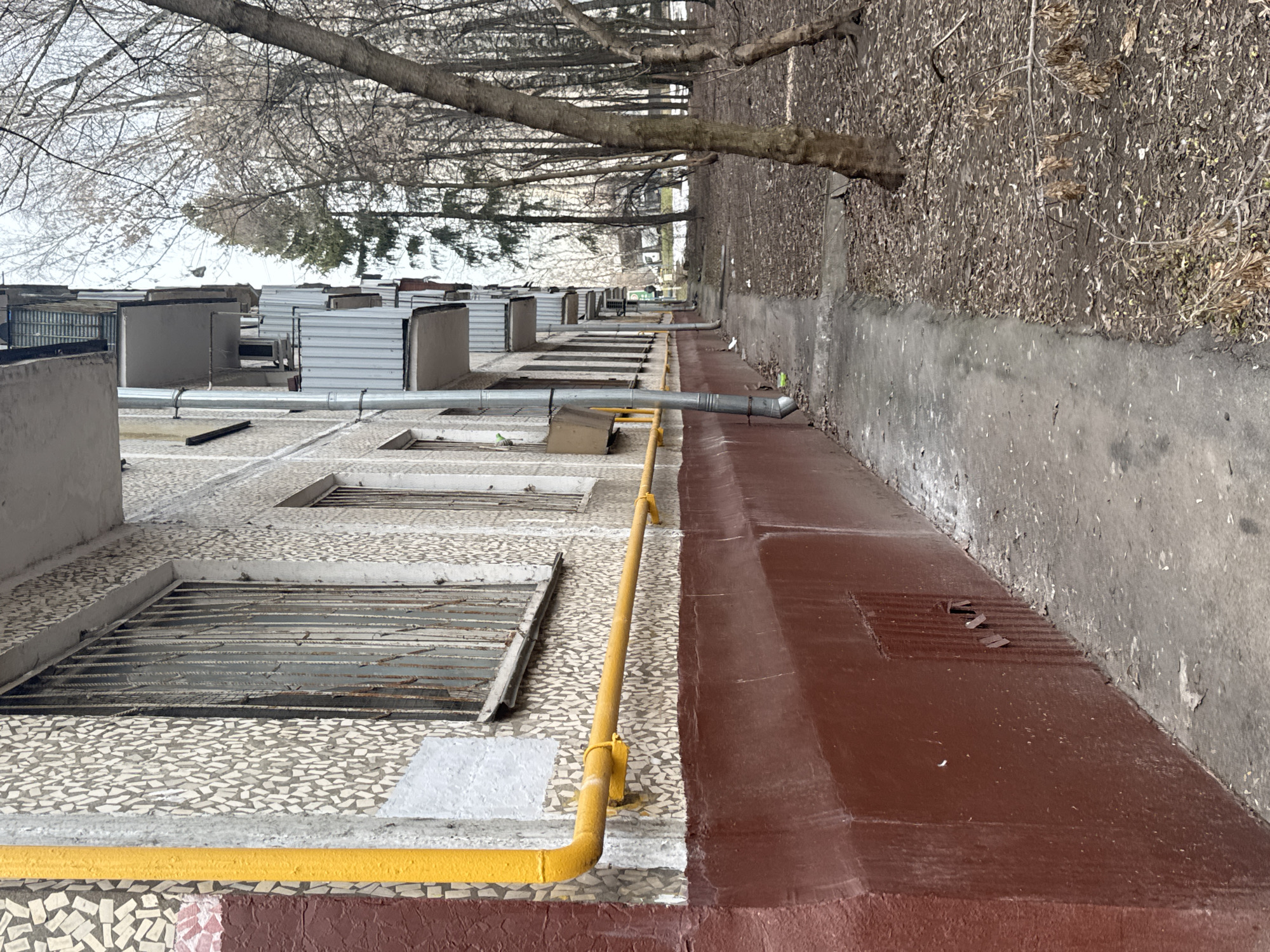 An eye-level outdoor photograph captures the side of a multi-story residential building in Moscow, Russia, juxtaposed with an unkempt natural area during late winter or early spring. The building's facade features a light-colored mosaic tile pattern across its upper visible sections, transitioning to a dark reddish-brown painted concrete wall below. A bright yellow gas pipeline, approximately 10-15cm in diameter, runs horizontally along the facade, secured by yellow brackets, then turns vertically upwards at the left. Multiple rectangular windows are visible, with the leftmost ground-floor window secured by rusted vertical metal bars. A silver-colored downspout descends vertically from the upper floors. A series of small, recessed balconies with corrugated metal lower panels extend from the upper floors, receding into the distance along the building's length.
A narrow, worn concrete pathway runs parallel to the building. To the right of the pathway, the ground is covered densely with dry, fallen deciduous leaves and small branches. Numerous bare deciduous trees with thin branches dominate the right side and background, intermingled with a few taller evergreen trees. A white vehicle and a distant building are faintly visible through the trees. The sky above is uniformly overcast. No individuals are present in the scene.