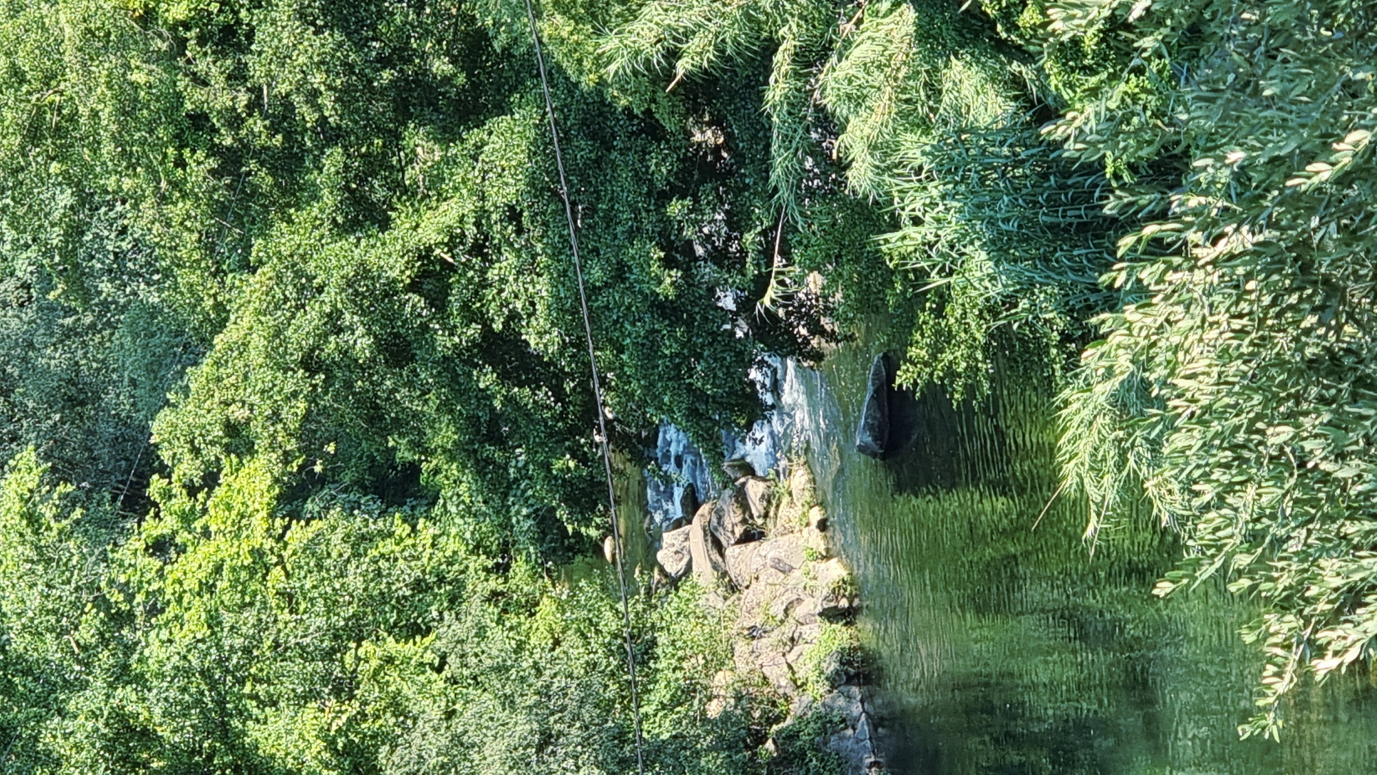 This is a high-angle, full-shot photograph of a narrow, winding river flowing through a lush, verdant forest. The river's water is a dark, reflective green, with gentle ripples creating texture on its surface. Several large, grey rocks are scattered along the riverbanks and within the water, with a notable cluster of rocks and smaller stones forming a shallow rapid in the upper middle section of the image.
The riverbanks are densely packed with trees and various green foliage, creating a natural, untamed landscape. The trees are mature, with full canopies of leaves that cast dappled shadows. In the foreground, on the right side of the image, there is a thick growth of tall, reedy plants and smaller, leafy bushes. A thin, dark cable is strung horizontally across the upper portion of the image, passing over the trees and river.
The scene appears to be a natural setting within the city of La Canya, Spain, suggesting a park or a protected natural area. There are no people, animals, or man-made structures other than the cable visible in the photograph. The overall impression is one of tranquility and the beauty of nature.