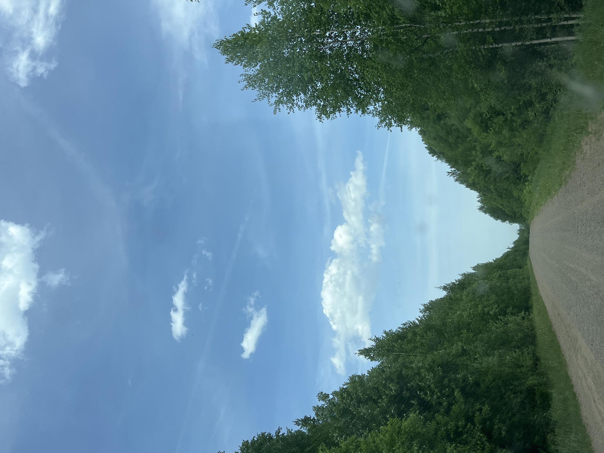 The image shows a dirt road in a rural area, likely in Korovino, Russia. The road stretches into the distance, flanked by dense green trees and foliage on either side. Above, the sky is a light blue with scattered white clouds. There are no people or animals visible in the image.