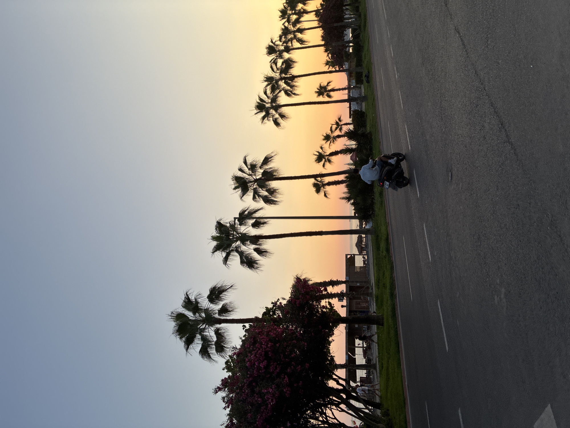 The image captures a sunset scene along a coastal road in Alanya, Turkey. A person is riding a scooter on the right side of the road. The road has white lane markings. On the left side of the road, there is a sidewalk area with several palm trees and a vibrant pink flowering tree. A few people are walking on the sidewalk. Beyond the sidewalk, there are structures that appear to be cafes or beachside businesses, and a glimpse of the sea is visible. The sky exhibits a gradient of colors typical of a sunset, transitioning from a pale blue at the top to warm oranges and yellows near the horizon. The overall atmosphere is serene and evokes a tropical evening setting.