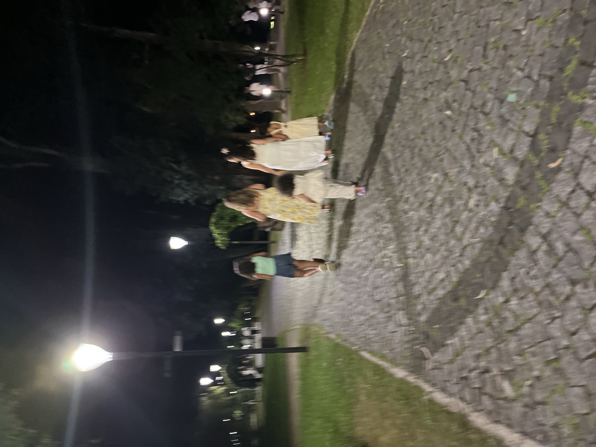 The image shows a nighttime scene in Shekvetili, Georgia. A group of people, including adults and children, are walking on a cobblestone path in a park. The path is illuminated by lampposts. The people are walking away from the camera. The environment appears to be a garden or park with trees and grass.