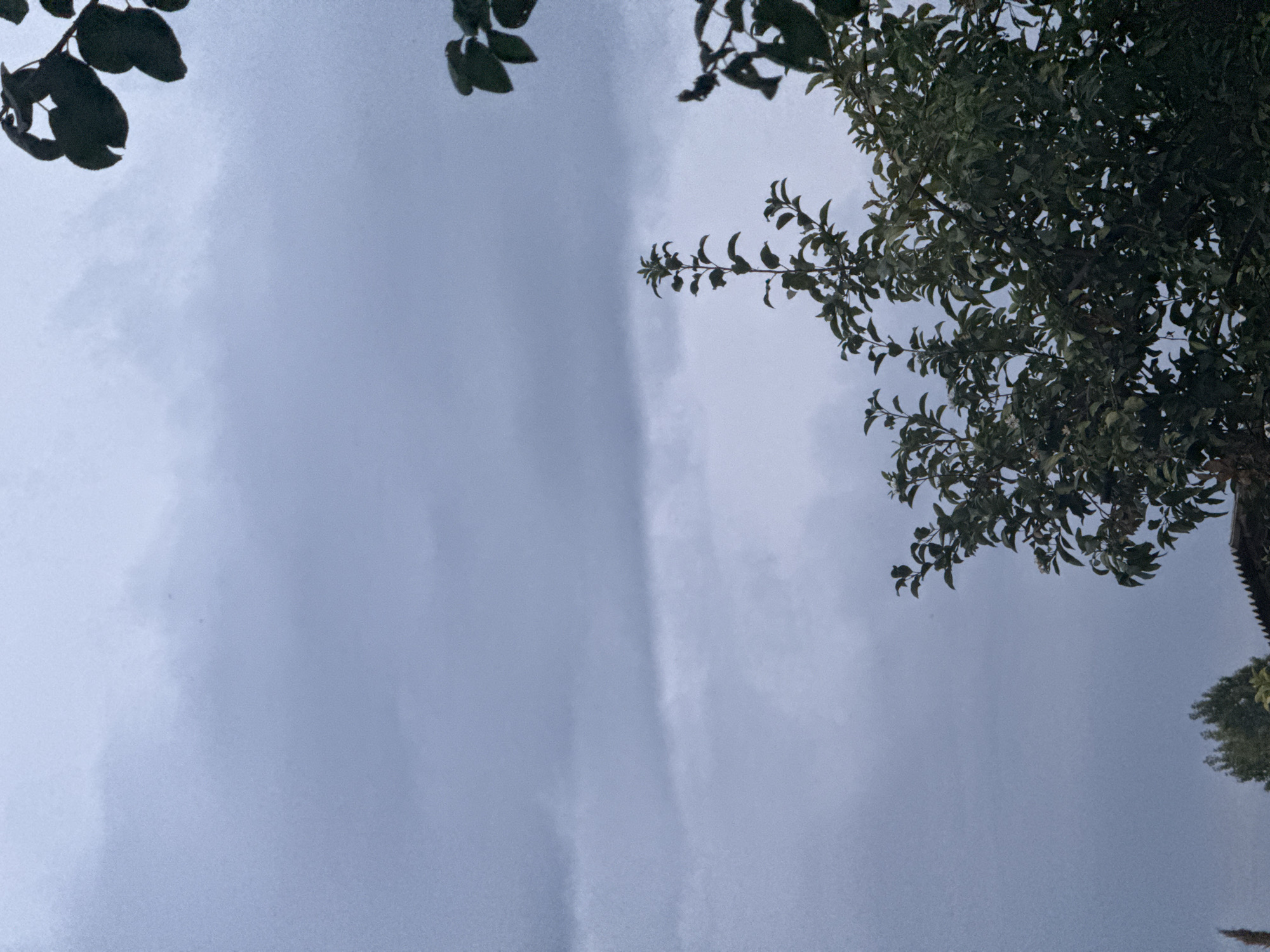 The image captures a view of the sky with scattered clouds, appearing overcast. In the foreground, the upper branches of a lush green tree are visible, with its leaves silhouetted against the muted sky. The tree is positioned in the lower right and central portion of the frame. The overall mood is subdued, possibly indicating a transition to or from rain. No people or urban structures are prominently featured, though a hint of a roofline might be present at the very bottom edge. The scene is consistent with an outdoor environment in Navbahor, Uzbekistan.