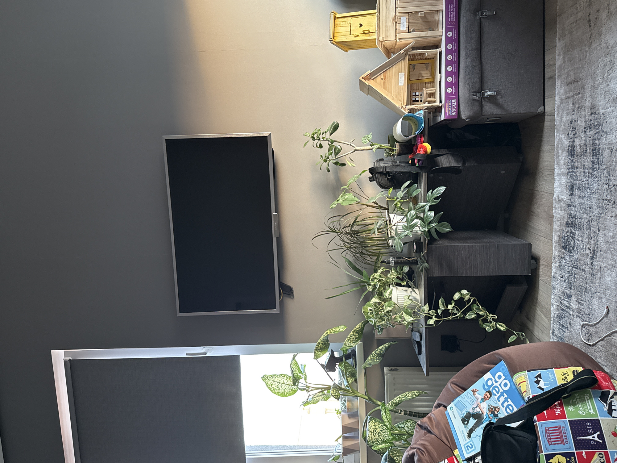 A room has a gray wall with a television hanging on it. A window with a gray shade is to the left of the television. In front of the television is a dark wood entertainment center with several green plants on top of it. To the right of the entertainment center is a beanbag chair with a book and a bag on it. Above the television is a dollhouse and a gray box. The location is not identifiable as Izhevsk, Russia from the image.