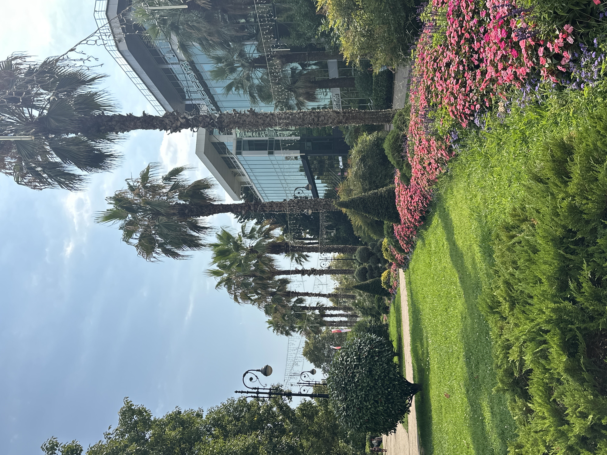 The image captures a sunny day in Sochi, Russia, likely in the vicinity of the central embankment or a similar promenade. The foreground features a meticulously landscaped garden with a vibrant bed of pink and purple flowers, bordered by manicured green bushes and a neatly trimmed lawn. A pathway, made of light-colored material, is visible to the left, with a few individuals walking or standing along it. In the midground, a row of tall palm trees stands prominently, their fronds swaying gently. Beyond the trees, a modern building with a glass facade is visible, reflecting the blue sky and surrounding greenery. Decorative strings of lights are strung between the palm trees and along the building's edge. The overall atmosphere is one of a well-maintained public space, showcasing a blend of natural beauty and urban architecture under a clear sky.