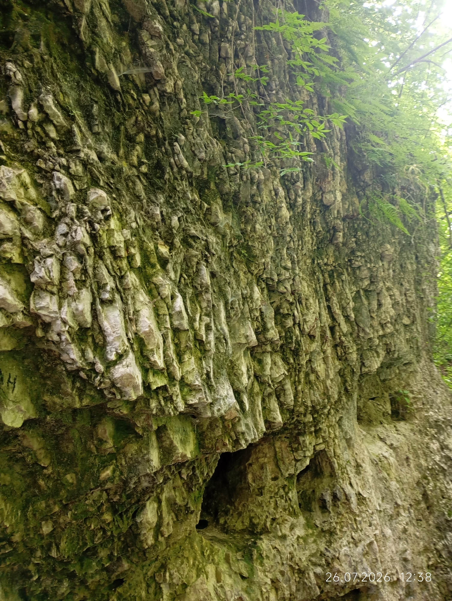 The image shows a moss-covered rock face with a small cave opening. There are some faint markings on the rock face, including what appears to be the letter "H". The scene is set in a natural environment with foliage visible at the top and right sides of the image. The timestamp "26.07.2026 12:38" is visible in the bottom right corner. There are no people or animals present in the image.
