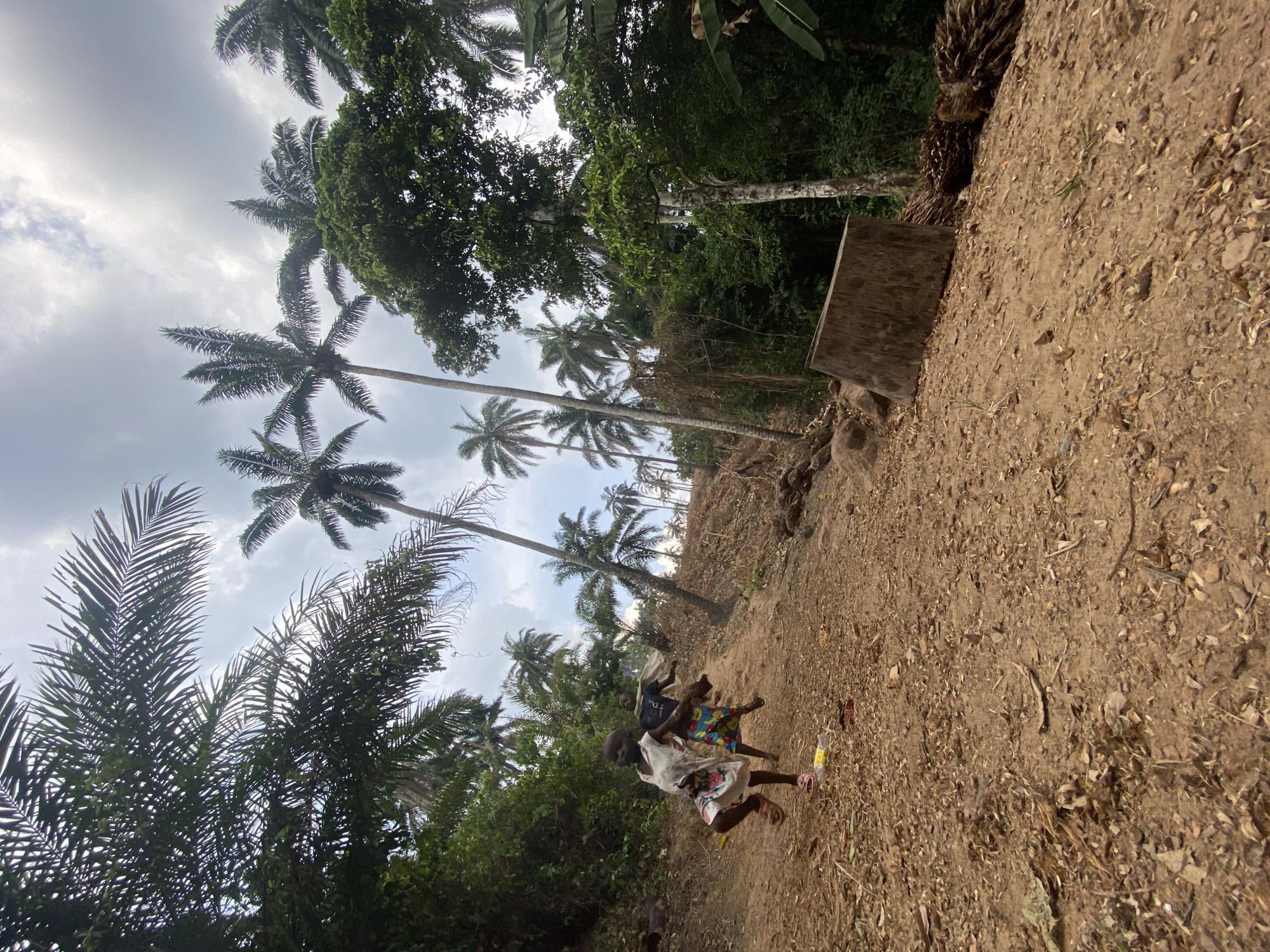 The image depicts a sloped, unpaved dirt path in a rural area of Igbarra, Nigeria, characterized by abundant tropical vegetation under a cloudy sky. Two young children are visible on the lower left, moving uphill. The child in the foreground wears a light-colored, patterned dress and pink sandals, with the left leg raised mid-stride. Behind them, a second child wears a dark top and a brightly patterned lower garment, appearing to follow. A yellow plastic bottle lies on the dirt path near the children. The environment features numerous tall palm trees, primarily oil palms, intermingled with dense green foliage. On the right side of the path, a large, rectangular wooden block or stump rests on the ground, with several bundles of harvested palm fruit bunches situated beyond it. The ground surface consists of reddish-brown soil mixed with dry leaves and small debris.