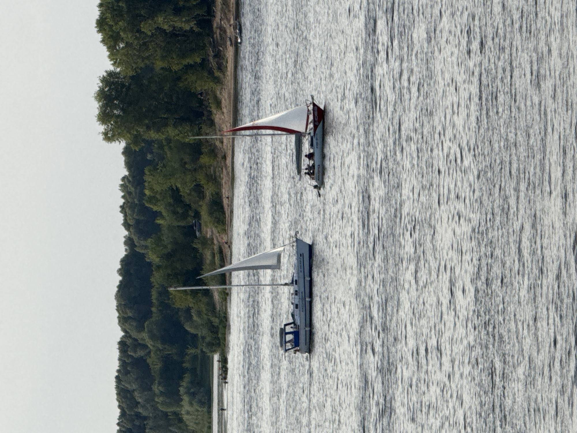 Two sailboats are on a body of water, likely a river. The sailboat on the left is white with a blue stripe and has a cabin. The sailboat on the right is white and red. Both boats have people on board. In the background, there is a shoreline with trees and a clear sky. The scene is likely from the Volga River in Nizhny Novgorod, Russia, given the distinctive trees and topography often seen along its banks.