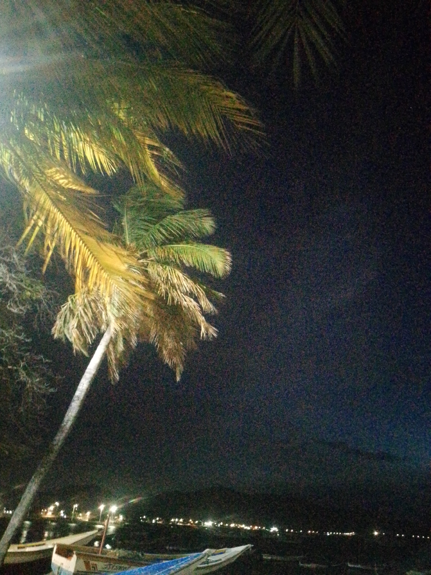 The image depicts a night scene in Juan Griego, Venezuela. A palm tree is prominently featured in the foreground, illuminated by an unseen light source. Its leaves cast shadows on the surroundings. In the background, a body of water is visible, with several boats moored along the shoreline. Lights from the town are seen in the distance, creating a faint glow on the horizon. The overall environment is dark and grainy, typical of a night photograph taken in low light conditions.