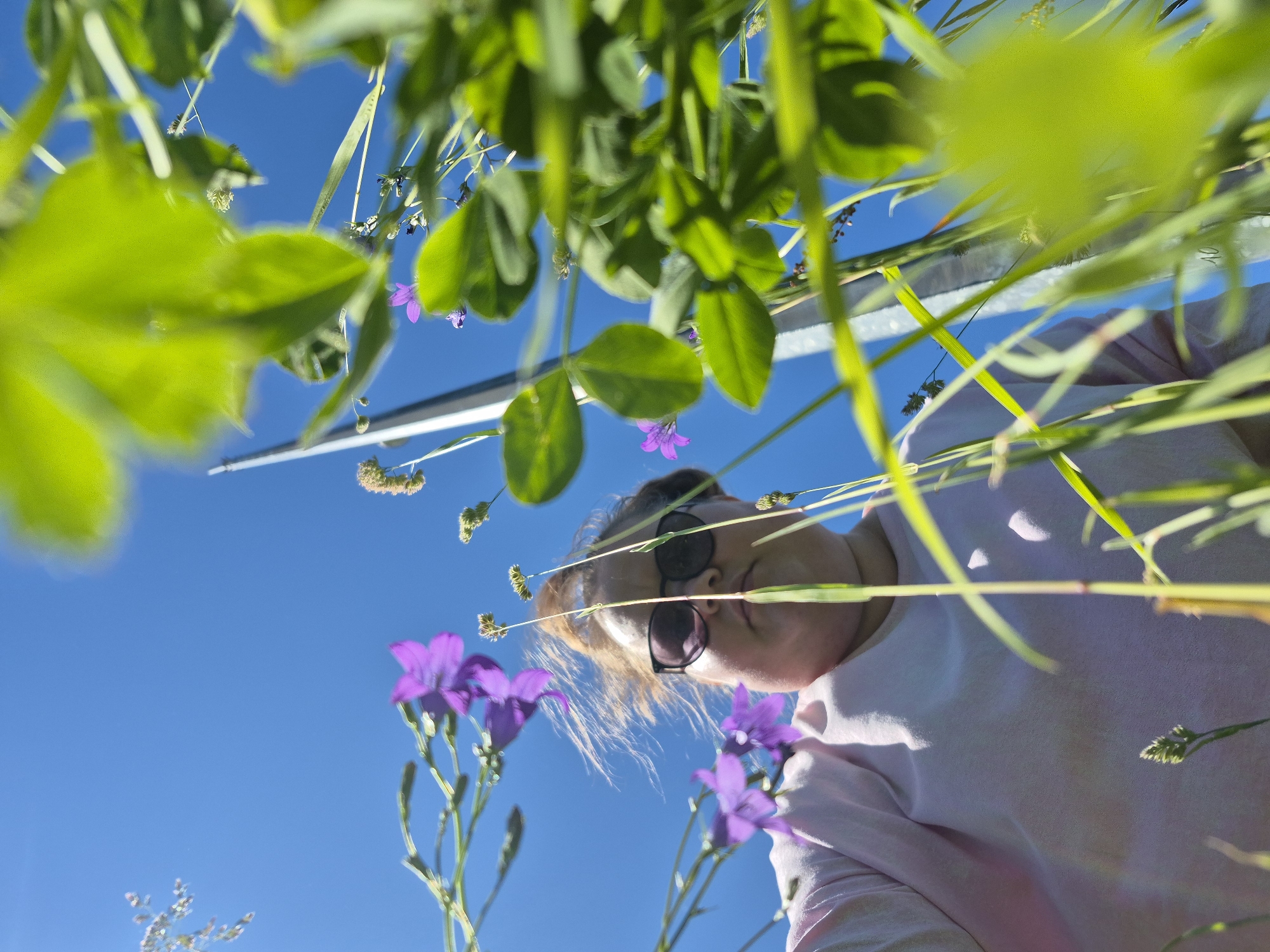 An extreme low-angle, close-up, outdoor shot features a person looking up through tall green grass and purple flowers against a bright blue sky. The person, wearing sunglasses and a pink shirt, is partially obscured by the vegetation. The lower half of their face and torso are visible. The image appears to be taken in Chaikovsky, Russia, likely in a park or natural area, given the presence of wild flora and clear sky.