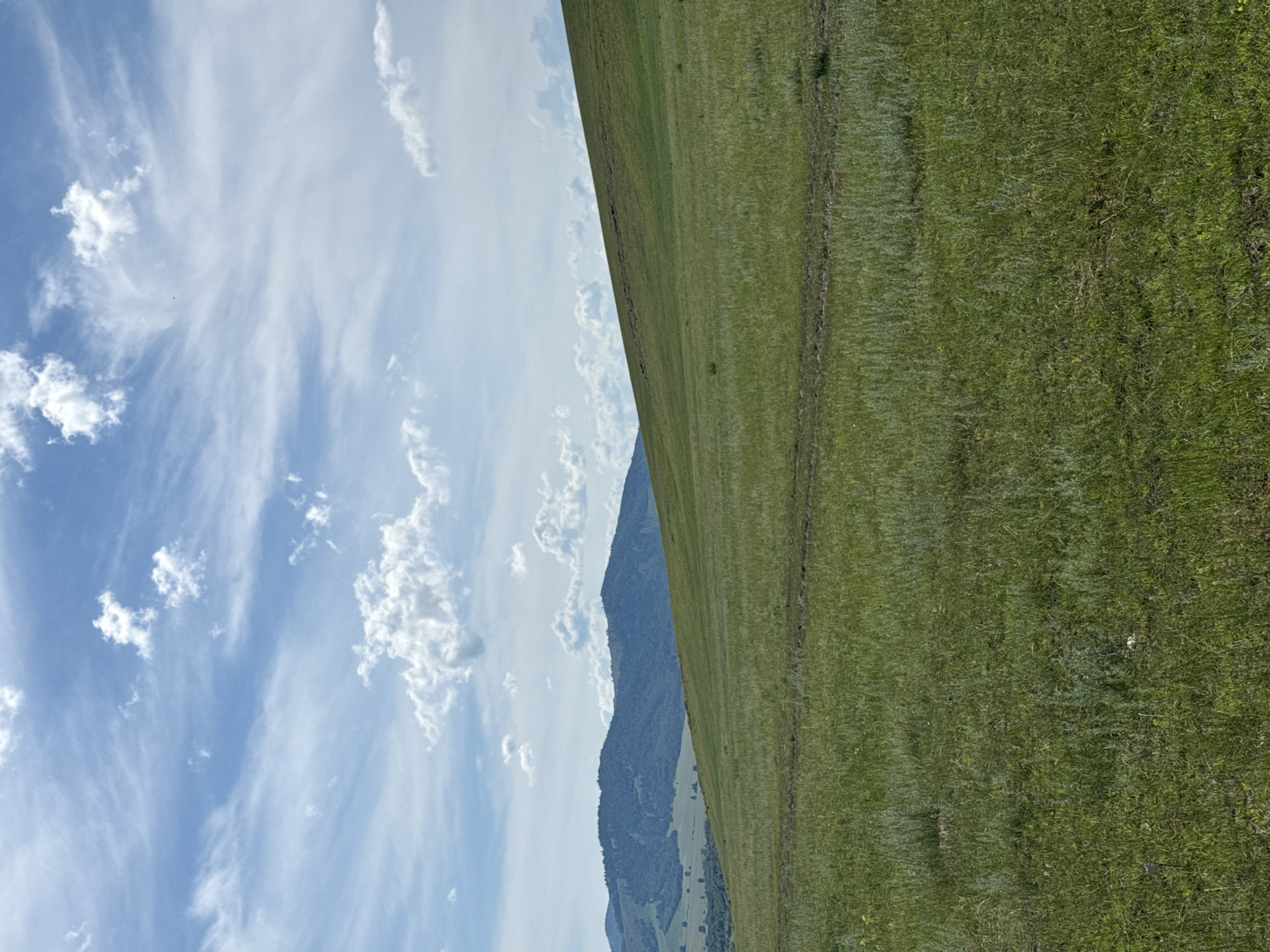 The image captures a vast, rolling landscape under a bright, partly cloudy sky. The scene is dominated by a sweeping expanse of vibrant green grass, appearing to be a well-maintained field or pasture. A distinct dark line, possibly a path or a boundary, runs diagonally across the grassy area.
In the background, a majestic mountain range rises, its slopes covered in dense vegetation that transitions from a deep green to a bluish hue as it recedes into the distance. The peaks of the mountains are partially obscured by wispy white clouds that drift across a pale blue sky. The clouds themselves are varied, with some appearing as thin, feathery streaks while others are more voluminous and defined.
The overall impression is one of a serene and expansive natural environment, bathed in daylight. The lighting suggests it is likely daytime, possibly late morning or early afternoon, given the brightness of the sky and the clarity of the scene. The location, identified as Сафронов, Russia, implies a rural or mountainous setting. There are no visible people or specific objects that suggest human activity other than the path on the grass. The weather appears pleasant, with a combination of sun and clouds. The emotions evoked are those of peace, tranquility, and awe at the natural beauty of the landscape. No text is visible within the image.