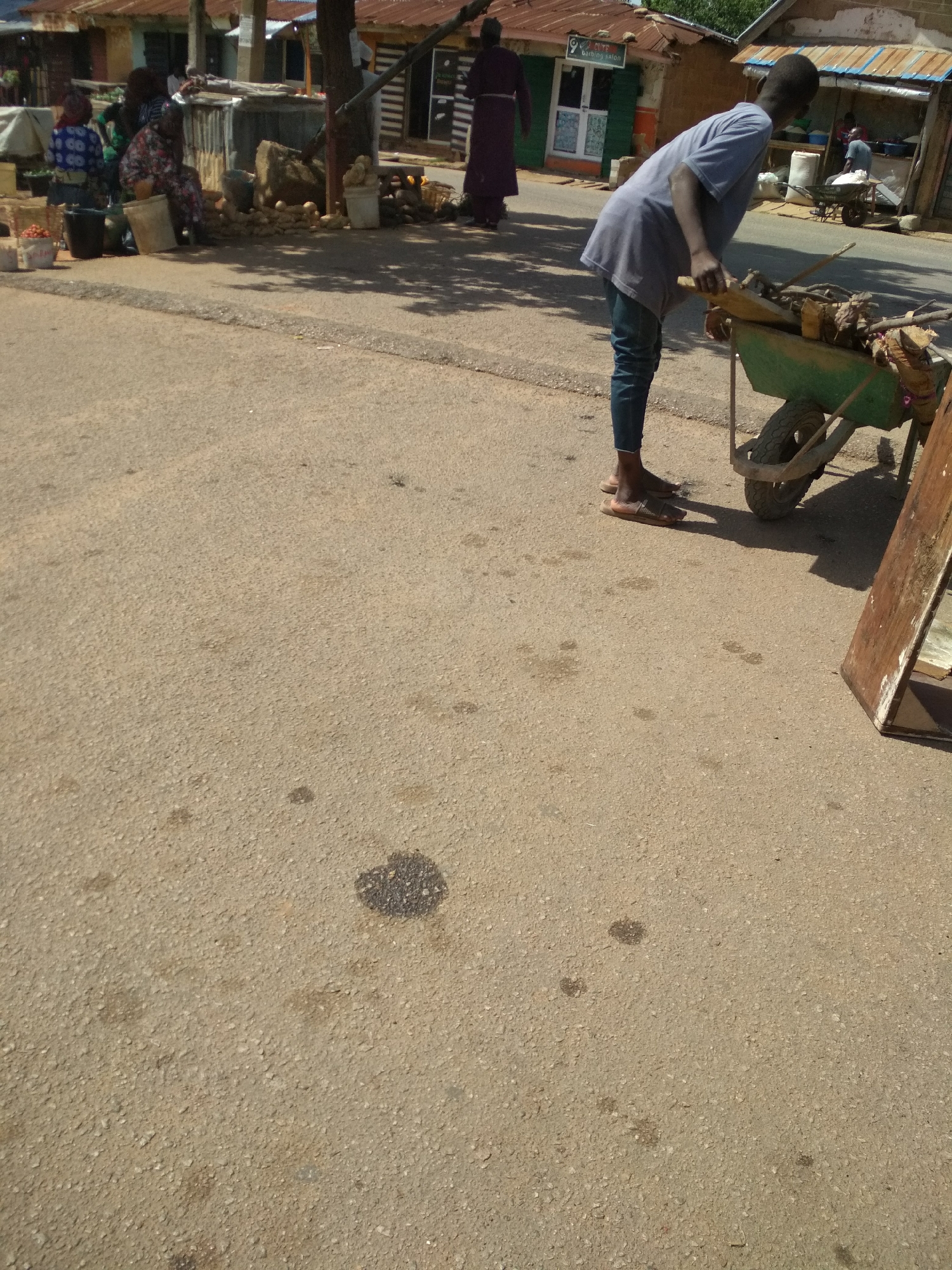 This image captures a vibrant street scene in Jos, Nigeria, under bright daylight. The foreground features a textured asphalt road, marked with scattered dirt and several dark, irregular stains, possibly oil.
In the midground, a dark-skinned young man, viewed from the side, is a prominent subject. He wears a light grey t-shirt, dark jeans, and flip-flops, and is bent forward, pushing a green wheelbarrow. The wheelbarrow is laden with various natural materials, including wood, branches, and possibly other goods. A wooden plank or signboard is visible on the ground to his right.
To the left, a small market area is active. Several people, predominantly women, are gathered, some seated on low stools or buckets. One woman is distinct in a blue and white patterned outfit, while another wears a reddish patterned dress. Around them are various market goods including buckets, baskets, and what appear to be agricultural produce such as yams or potatoes, arranged on the ground and in containers.
The background consists of several informal, single-story buildings with corrugated metal roofs, indicative of local architecture. One building, to the left of the man, has a partially visible sign above a white door that reads "GLOW Bathing Salon". Another person in a dark, long garment is seen walking further down the street. Overhead, trees cast shadows onto the ground, suggesting a sunny day, likely mid-morning or afternoon. The scene portrays a typical bustling day of commerce and daily life in the region.