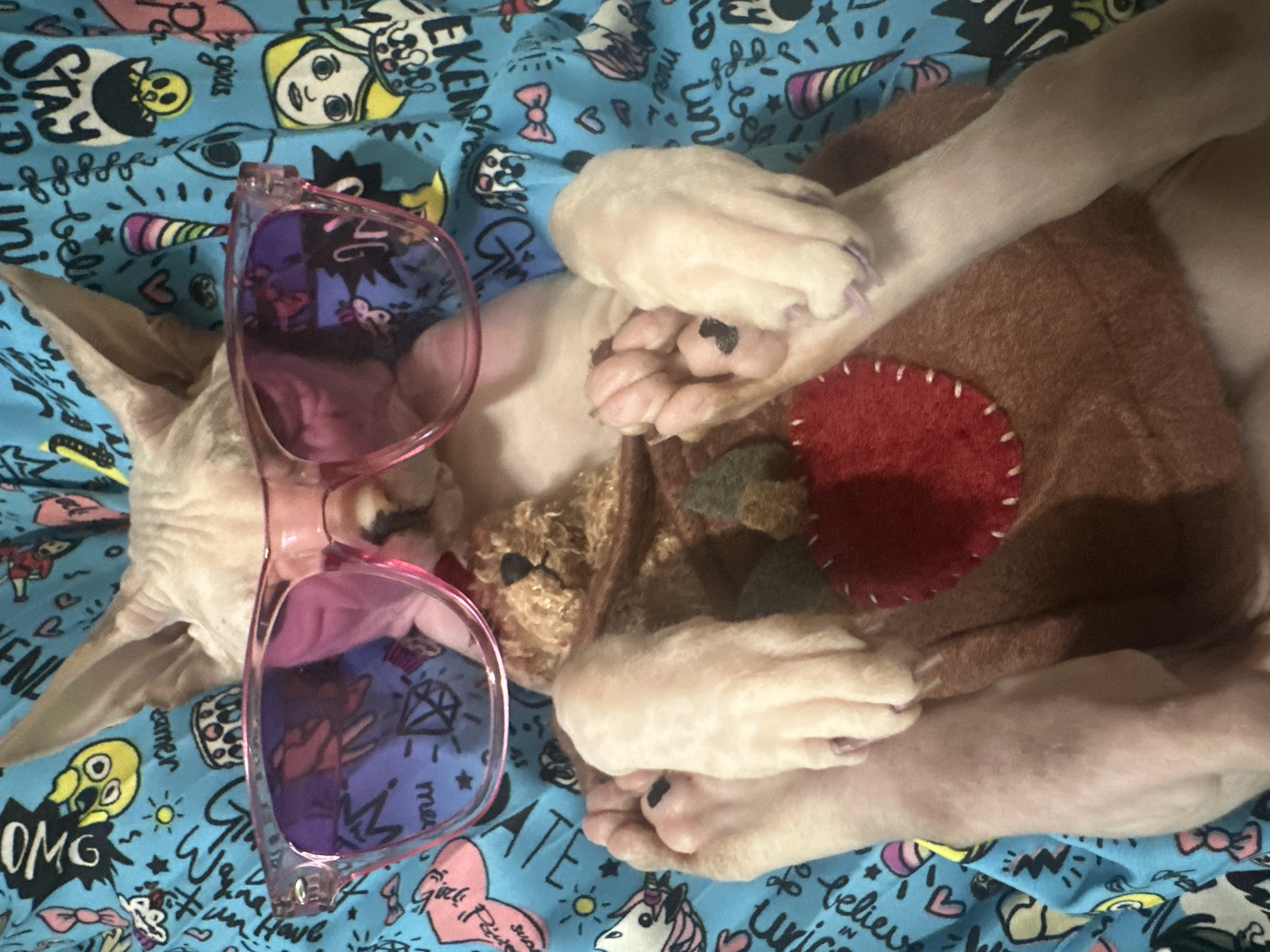 A hairless cat, wearing pink sunglasses and a brown vest with a red apple applique, lies on its back on a blue blanket with a cartoon pattern. The cat's paws are raised and visible. The image appears to be taken indoors, possibly in a domestic setting. There is no information to suggest a location in Togliatti, Russia.