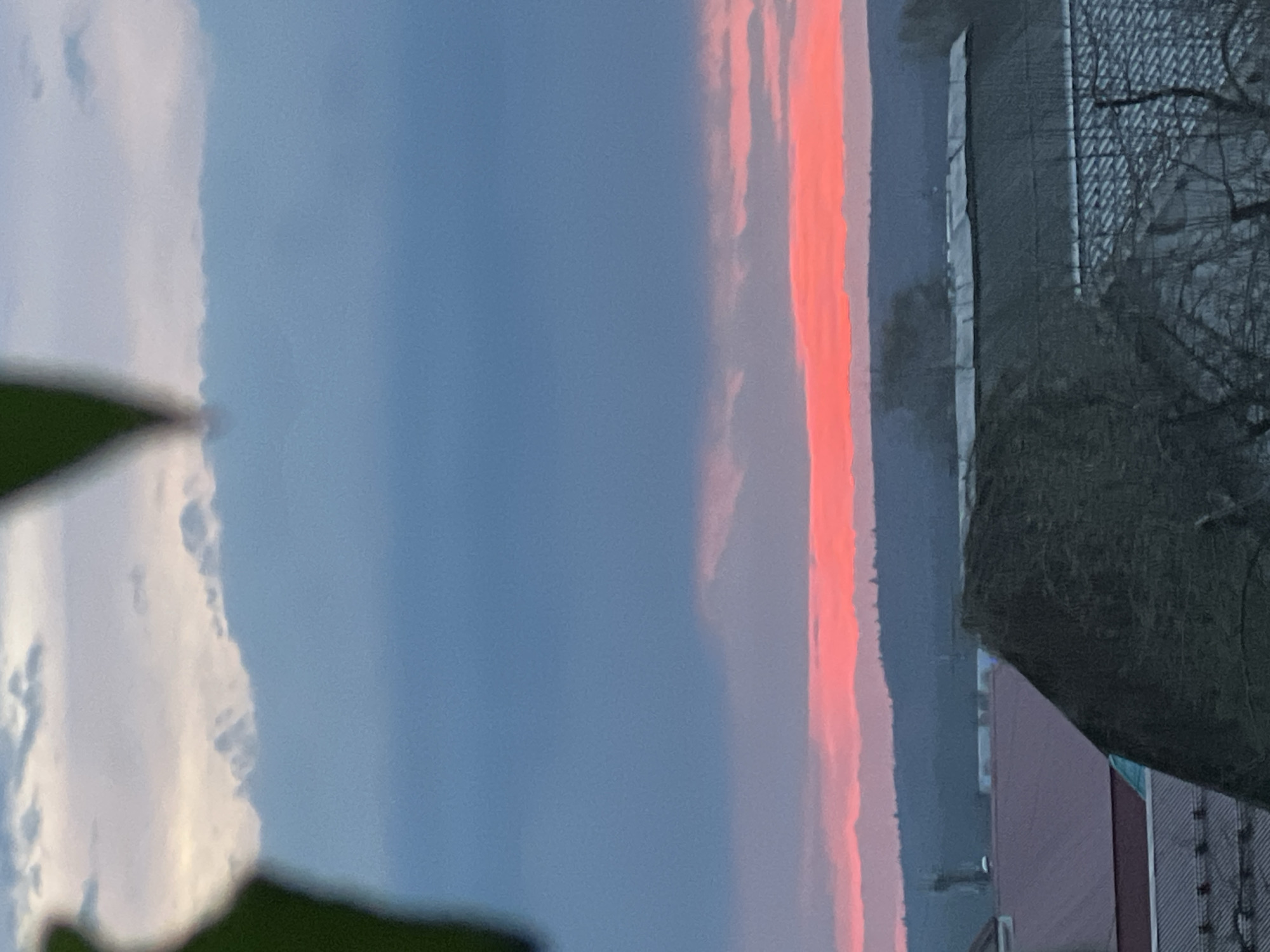 The image shows a vertical view of a sunset with a narrow band of bright pink clouds against a blue sky. To the right, a building and a bare tree are visible. The location is presumed to be Votkinsk, Russia.