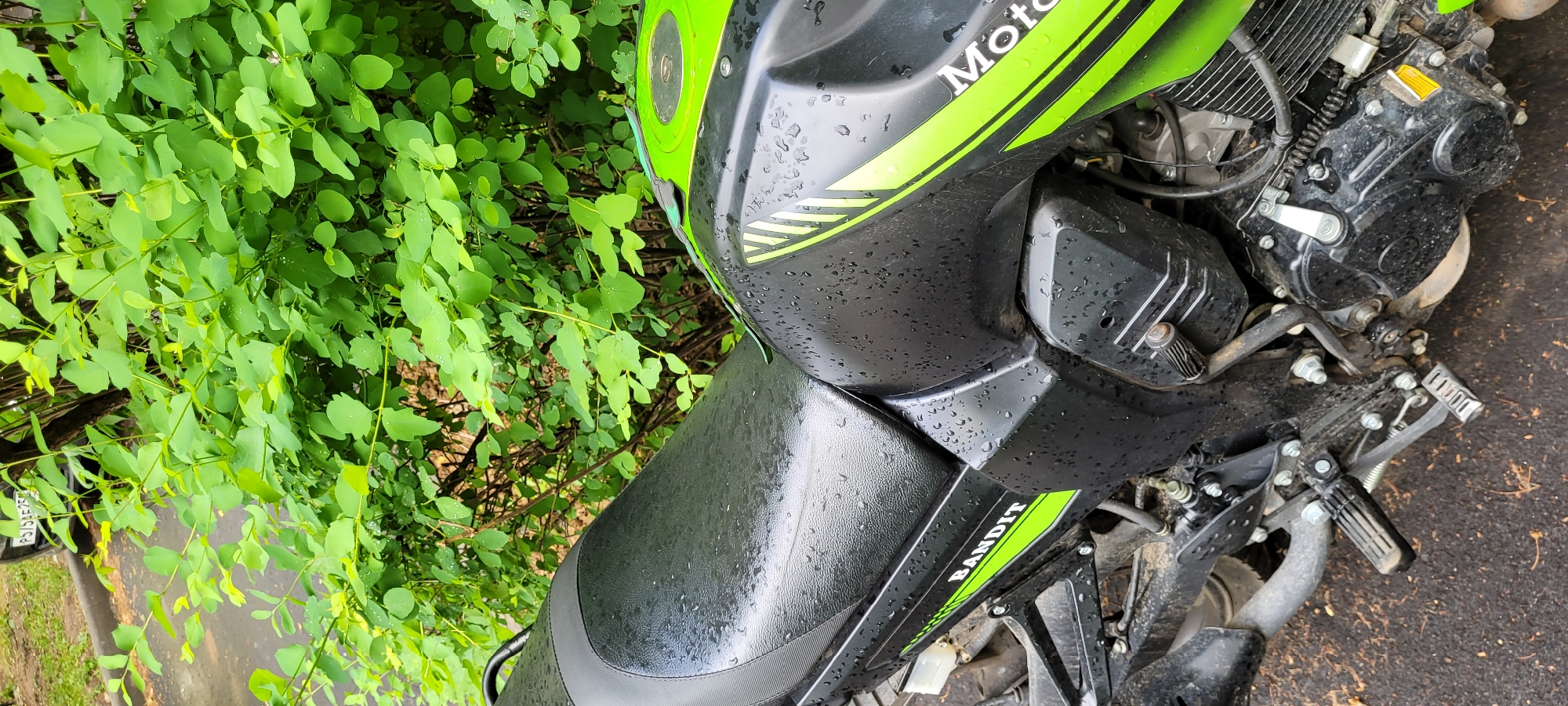 The image shows a black and green motorcycle parked next to a leafy green bush. The motorcycle, identified as a "Bandit" model with "Moto" branding, appears to be wet, possibly from rain. The background includes a glimpse of what seems to be a residential area, with a car visible through the foliage. The location is in the city of Unknown, Unknown.