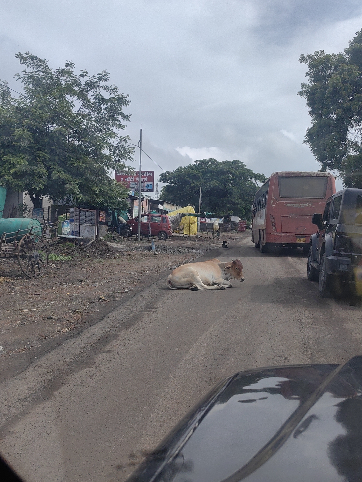 The image depicts a roadside scene in Motala, India, on a cloudy day. A light-colored cow is lying down in the middle of a paved road. To the right of the cow, a dark-colored SUV is partially visible, and a red bus is further down the road. In the background, there are trees, several small structures, a red car, a motorcycle, and a handcart with two large wheels. A red and white sign with text in a local script is mounted on a pole. The ground is a mix of dirt and pavement.