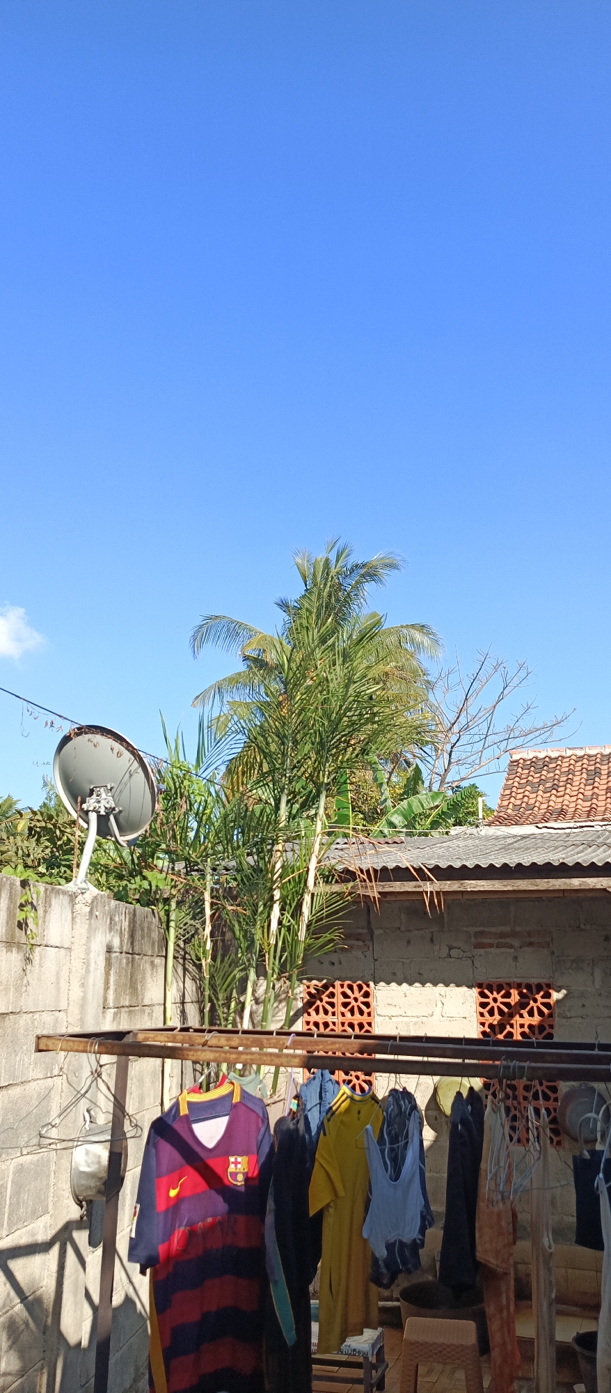 This is a vertical, eye-level, outdoor photograph taken in Jatisari, Indonesia, on a clear, bright day with a vibrant blue sky occupying the upper two-thirds of the frame. The foreground features a clothesline with various garments hanging, including a purple and red striped soccer jersey with yellow trim, a yellow t-shirt, a white tank top, and other clothing items. A metal drying rack supports the clothesline. To the left, a rough-textured concrete wall is visible, with a satellite dish mounted on top. Behind the wall, lush green foliage and palm trees are prominent. A building with a tiled roof and brick walls with decorative openings is situated in the mid-ground. The overall scene depicts a residential area with elements of daily life, such as laundry being dried, set against a backdrop of tropical vegetation and typical Indonesian architecture.