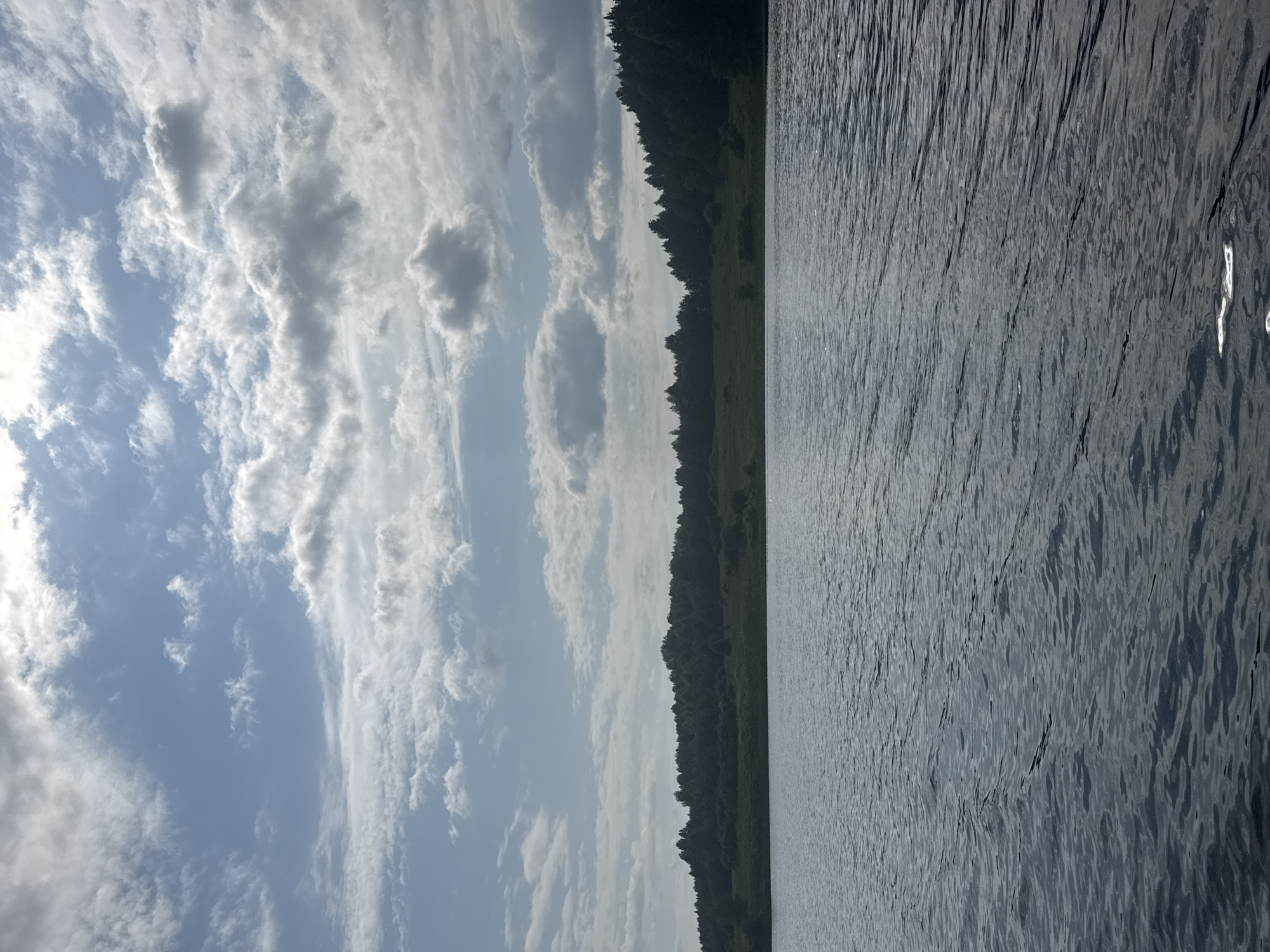 The image shows a body of water with ripples. In the background, there is a shoreline with trees and grass. The sky above is partly cloudy with patches of blue sky visible. There are no people or man-made structures visible in the image. The scene appears to be a natural landscape. The image was taken in Pozdyshki, Russia.