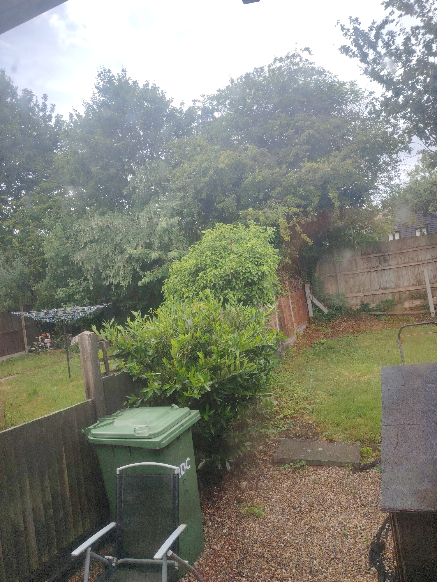 This photograph captures an overcast daytime scene of a residential backyard or garden, likely in Huntingdonshire, United Kingdom, as suggested by the provided context. The view is partially obscured by what appears to be a window or screen, evidenced by slight haziness and streaks across the image.
The foreground features a gravel patio area with a green wheelie bin positioned next to a wooden fence on the left. A black and silver folding garden chair is placed in front of the bin. Visible text on the bin reads "DC" and "2". A dark, flat surface, possibly the top of a shed or outdoor unit, is partially visible on the right.
The middle ground consists of a patch of green grass, with some overgrown areas and weeds, leading up to more fencing and shrubbery. A concrete paving slab is visible on the ground between the gravel and grass. Towards the left, a metal clothes drying rack stands in the grass, and a smaller wooden shed or structure is behind it. A dense, leafy green bush stands prominently in the center-right.
The background is dominated by a variety of mature deciduous trees, their canopies full of leaves, suggesting a summer or late spring season. A weathered wooden fence separates the garden from an adjacent property, where the roofline of a house with white windows can be partially seen through the trees on the far right. The sky is largely white and overcast, indicating a cloudy day. No people are visible, and no specific activity is taking place; the scene depicts a static outdoor environment.