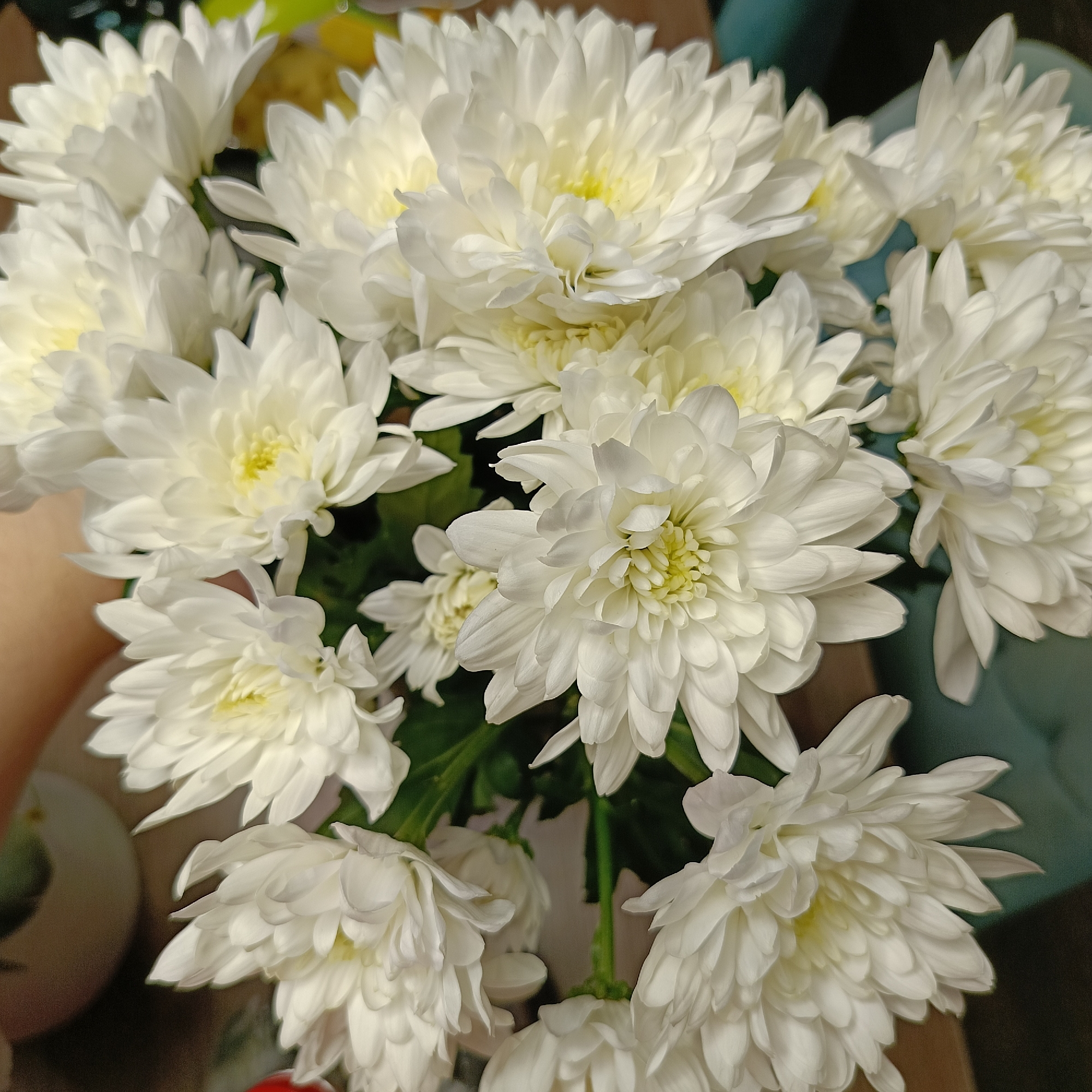 The image shows a close-up view of a bouquet of white chrysanthemums. The flowers are densely packed together, with visible green stems and leaves peeking through. The lighting is soft, casting gentle shadows on the petals. The location, Markovskii, Russia, is not discernable from the image.