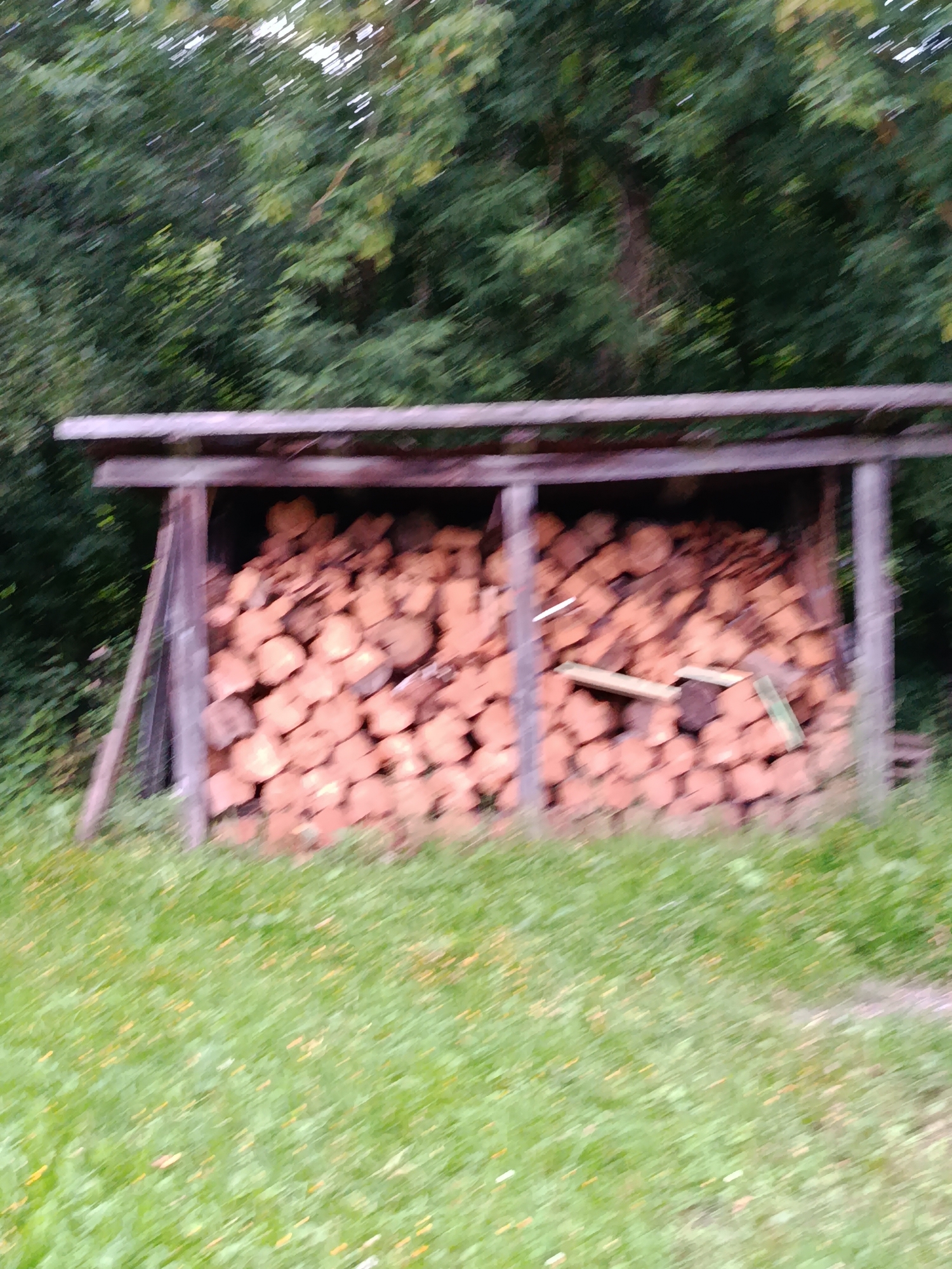 The image depicts an outdoor scene with a wooden structure filled with stacked firewood. The firewood is cut into logs and appears to be of various sizes. The structure is open on the front and has a roof supported by wooden posts. Behind the structure, there are trees and foliage. In the foreground, there is a grassy area with some scattered yellow flowers. The image appears to be taken during daylight. There are no people visible in the image.