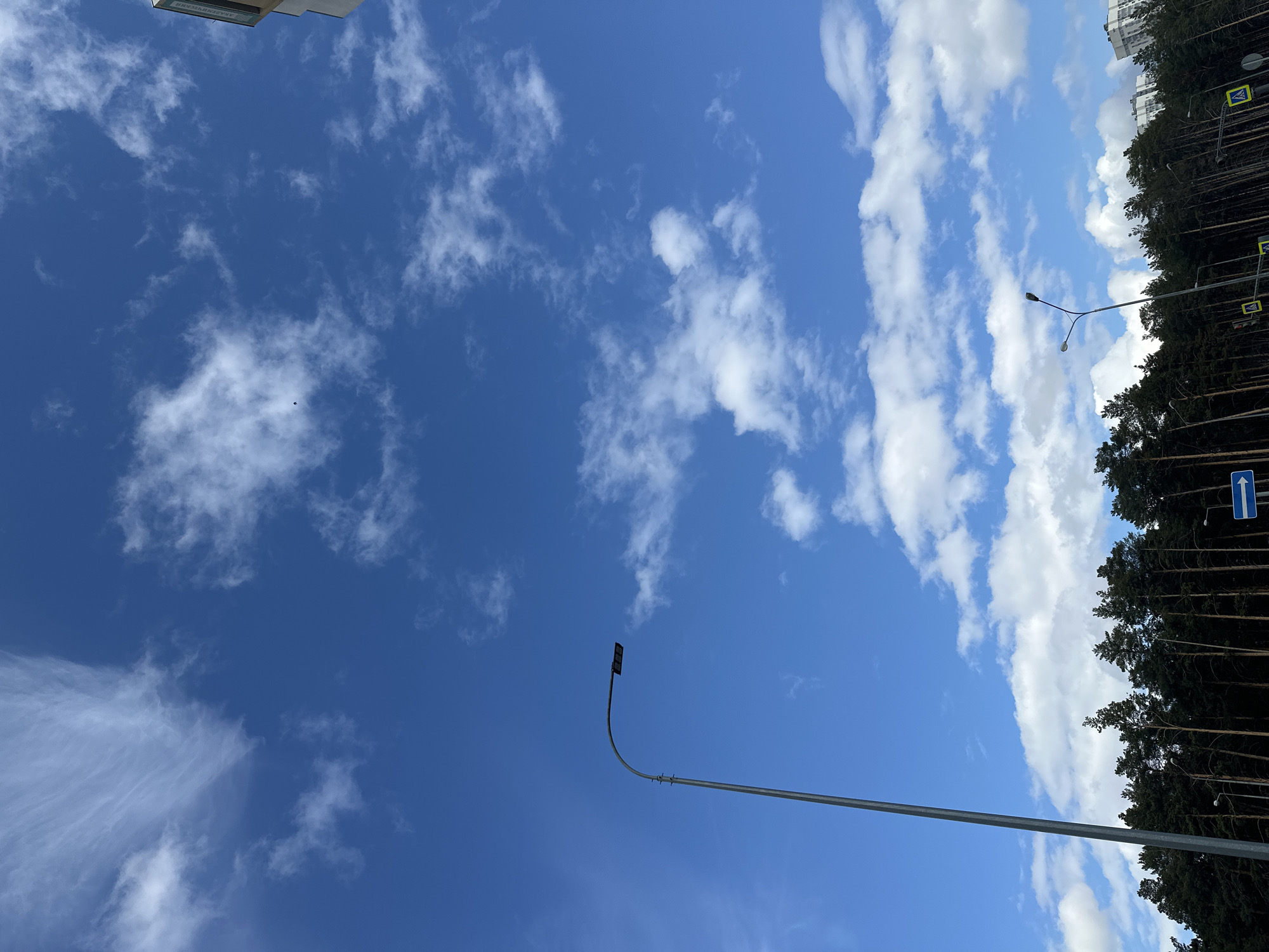 The image presents a bright daytime scene, predominantly featuring a vast blue sky dotted with scattered white clouds. A modern streetlight with a long, curved arm extends into the frame from the lower central-right, reaching towards the upper left. To the far right, a dense line of tall, dark green coniferous trees forms a natural barrier against the sky. Several yellow rectangular road signs, indicating pedestrian crossings, are visible amidst the trees, along with one blue directional sign featuring a white upward arrow. On the far upper left, the top section of a light-colored, multi-story building is partially visible. The building features Cyrillic text, which clearly reads "АРХАНГЕЛЬСКИЙ". A tiny dark speck, possibly a bird, is discernible against the blue sky in the middle-left portion of the image. The overall setting suggests an urban or suburban environment bordering a forested area, under clear and sunny weather conditions.
