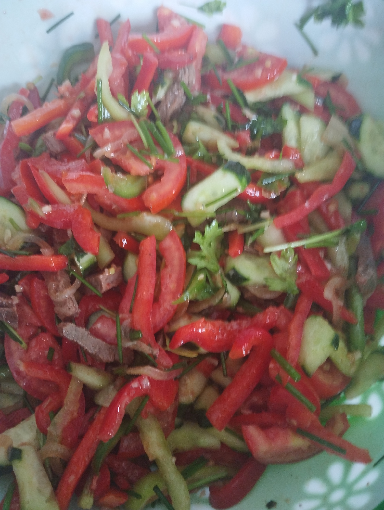 The image displays a close-up, overhead view of a vibrant salad in a light-colored bowl. The salad is composed of thinly sliced red bell peppers, cucumbers, tomatoes, and pieces of meat, garnished with green onions and possibly parsley. The ingredients are chopped into bite-sized pieces and appear fresh. The lighting is diffuse, and the focus is sharp on the food, with the background softly blurred. The bowl has a faint green pattern along its rim. The context of Naryn City, Kyrgyzstan, is not visually discernible from the image itself.