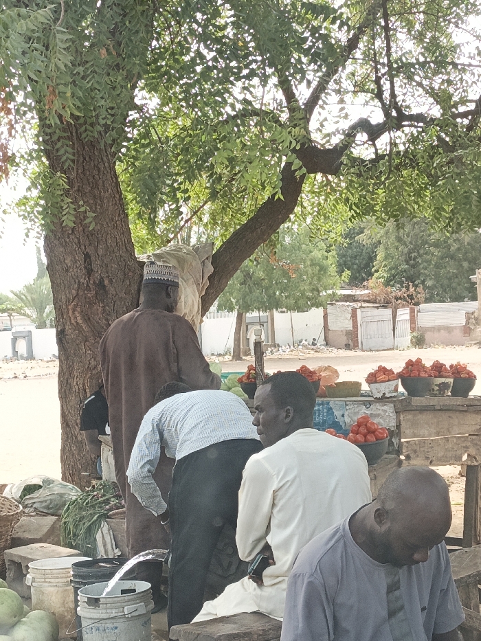 Several people gather near a vendor’s stall under a tree. The stall displays bowls of tomatoes and other produce. One man, wearing a light blue patterned shirt and dark pants, bends over buckets filled with water. A man in a brown robe and a white hat stands nearby. Another man in a white shirt sits on a bench, and a man in a grey shirt sits in the foreground. The tree's leaves and branches provide shade. A few buildings are visible in the background.