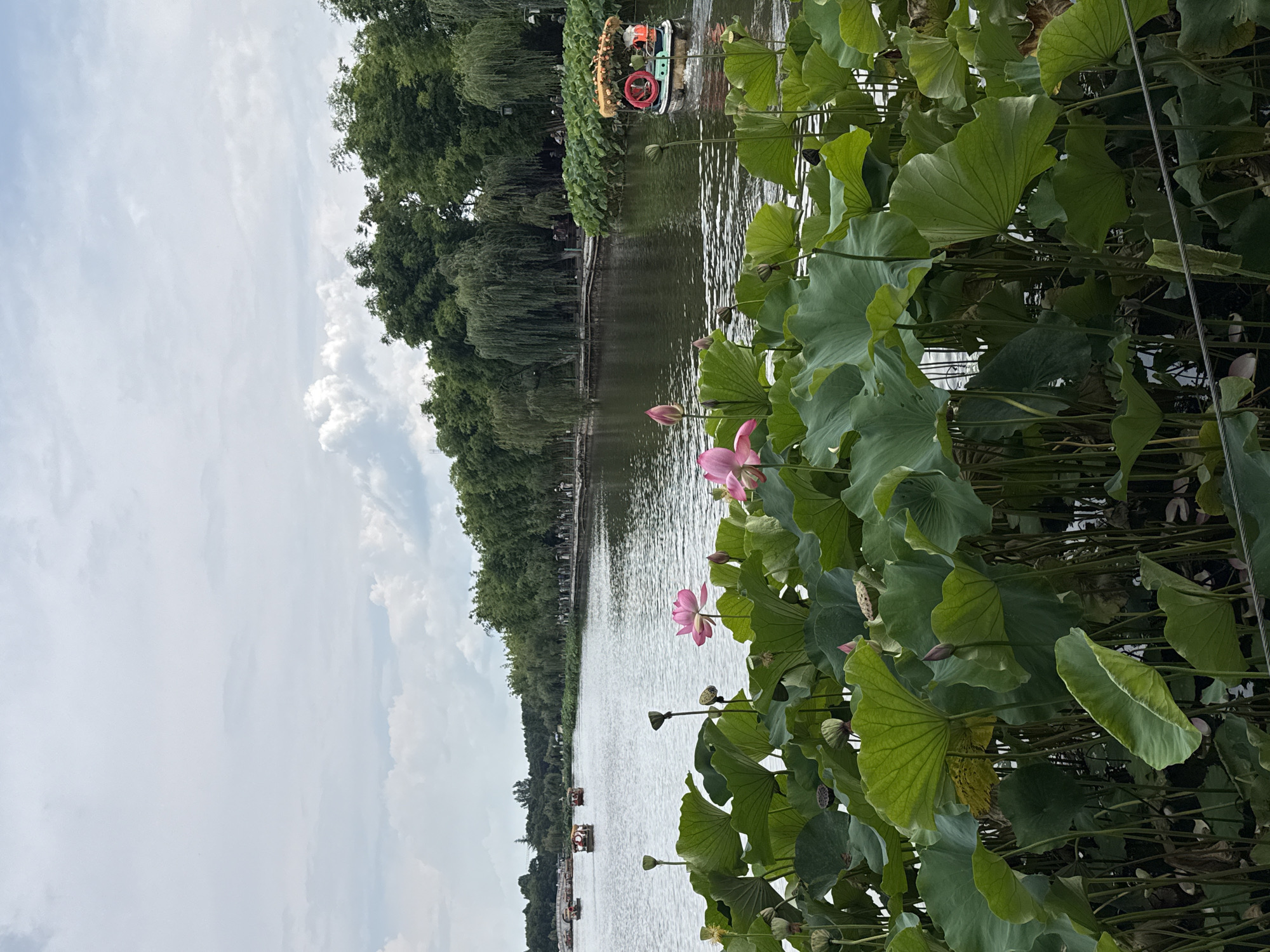 A wide shot captures a serene lake scene in Xishan District, China, dominated by lush lotus plants in the foreground. The lotus pads are a vibrant green, with some bearing pink blooms and seed pods. The water is calm, reflecting the overcast sky and the verdant trees lining the distant shore.
On the lake, several small boats are visible. In the middle ground, three traditional-style boats with people on board are navigating the water. Closer to the right, a small, decorative boat with an orange canopy and a red life preserver is moving away from the viewer. People can be seen walking along a paved path that runs parallel to the water's edge on the right side of the image. The background is filled with a dense line of trees, including willow trees, and further in the distance, faint structures and more trees can be observed. The sky is a mix of light clouds and patches of clearer sky, suggesting a diffused daylight.