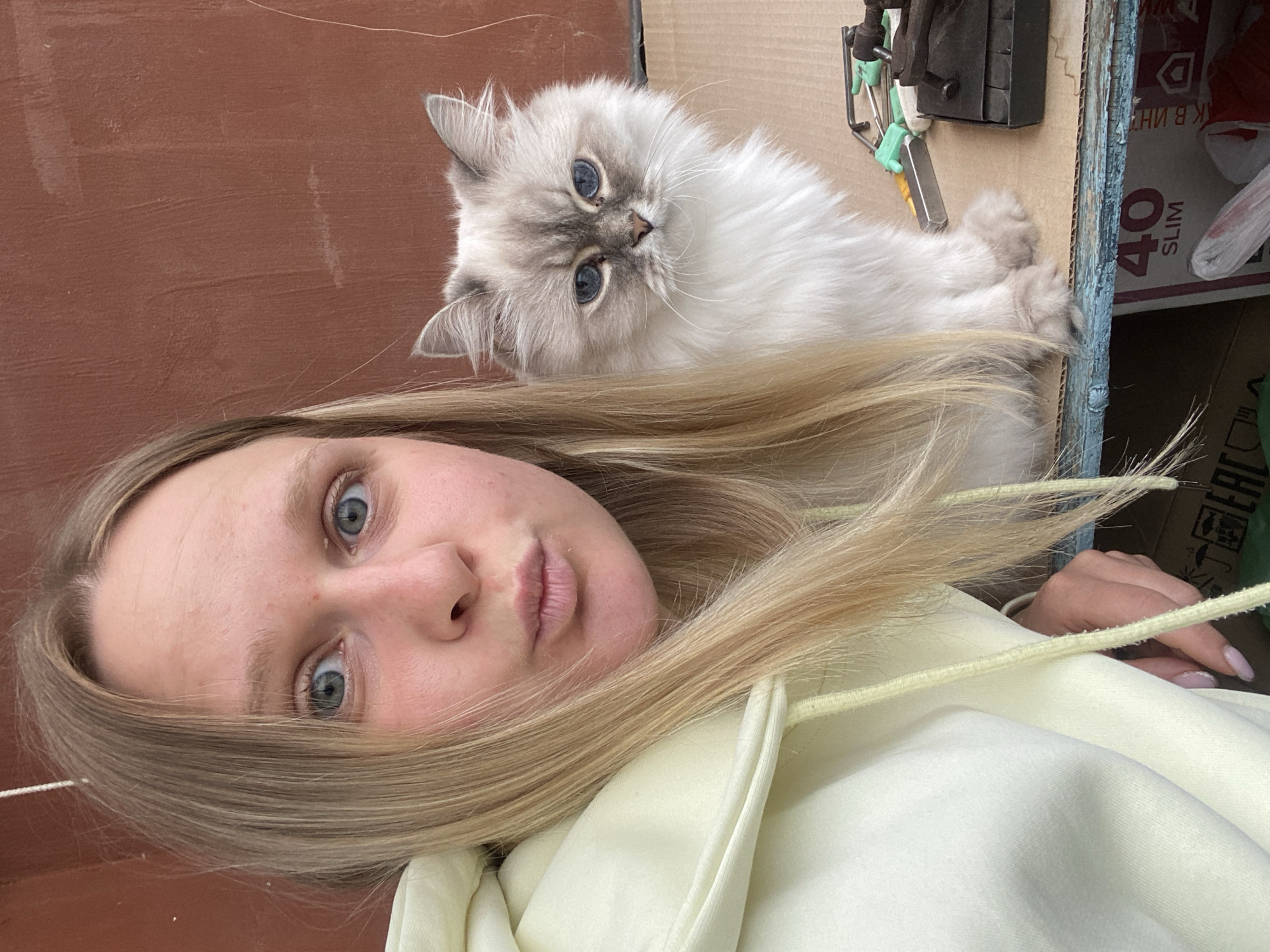 In an outdoor urban setting in Chaikovsky, Russia, a young woman with long blonde hair and striking blue eyes is pictured in a selfie with her cat. She is wearing a pale yellow hoodie and has her lips puckered. Beside her, a fluffy white cat with blue eyes gazes directly at the camera. They are positioned in front of a weathered, reddish-brown wall. The foreground reveals a surface covered with various objects, including tools and a cardboard box with Cyrillic lettering and the number "40" on it. A portion of the woman's hand is visible on the left side of the frame, with neatly painted fingernails. The scene suggests a casual, possibly domestic environment within the city.