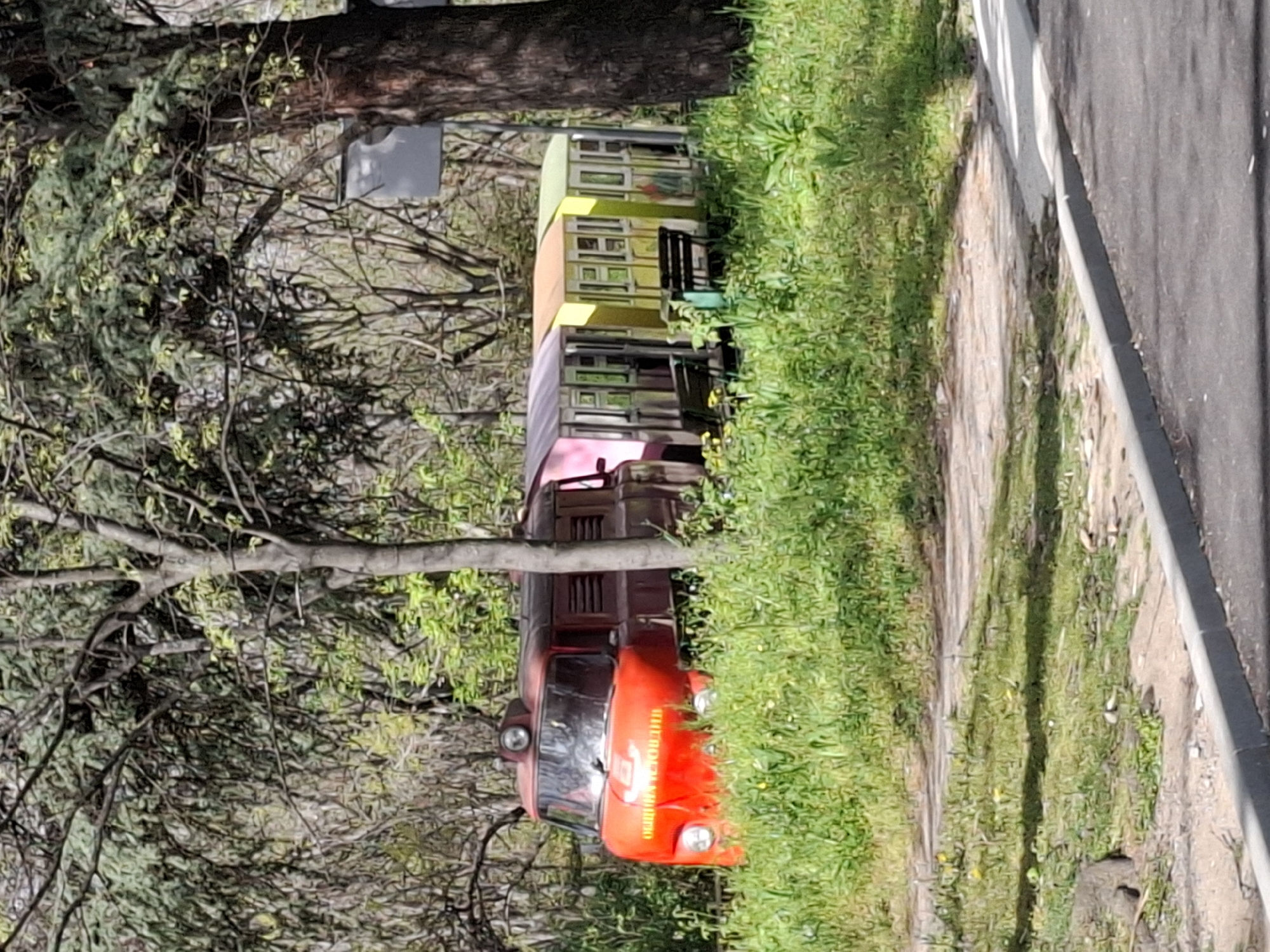 This image captures a miniature train set within a lush, green park environment in Plovdiv, Bulgaria, on what appears to be a sunny day. The scene is dominated by a colorful recreational train, featuring a bright red locomotive at the front, followed by several passenger carriages painted in distinct hues of pinkish-red, yellow, and light green.
The red locomotive is equipped with two prominent headlights and features Cyrillic text on its front, which appears to read "ПИОНЕРСКИ ВЛАК," translating to "Pioneer Train" or "Children's Train." The carriages behind it have multiple open windows or railings, suggesting they are designed for park visitors. The train is situated on visible tracks, running alongside a dirt path.
Surrounding the train and tracks is an abundance of vibrant green grass, indicating spring or summer. Numerous trees, both with full green foliage and some showing new growth, frame the scene, casting soft shadows on the ground. To the right of the train area, a paved path or road with a white curb runs parallel, suggesting an accessible park layout. In the background, partially obscured by trees, a light-colored rectangular object, possibly a sign or part of a structure, can be seen.
No people are visible in the image, leaving the train stationary within the peaceful park setting. The clear lighting and distinct shadows indicate it is daytime, likely mid-morning or afternoon, with pleasant weather conditions. The overall impression is one of a cheerful and recreational outdoor space.