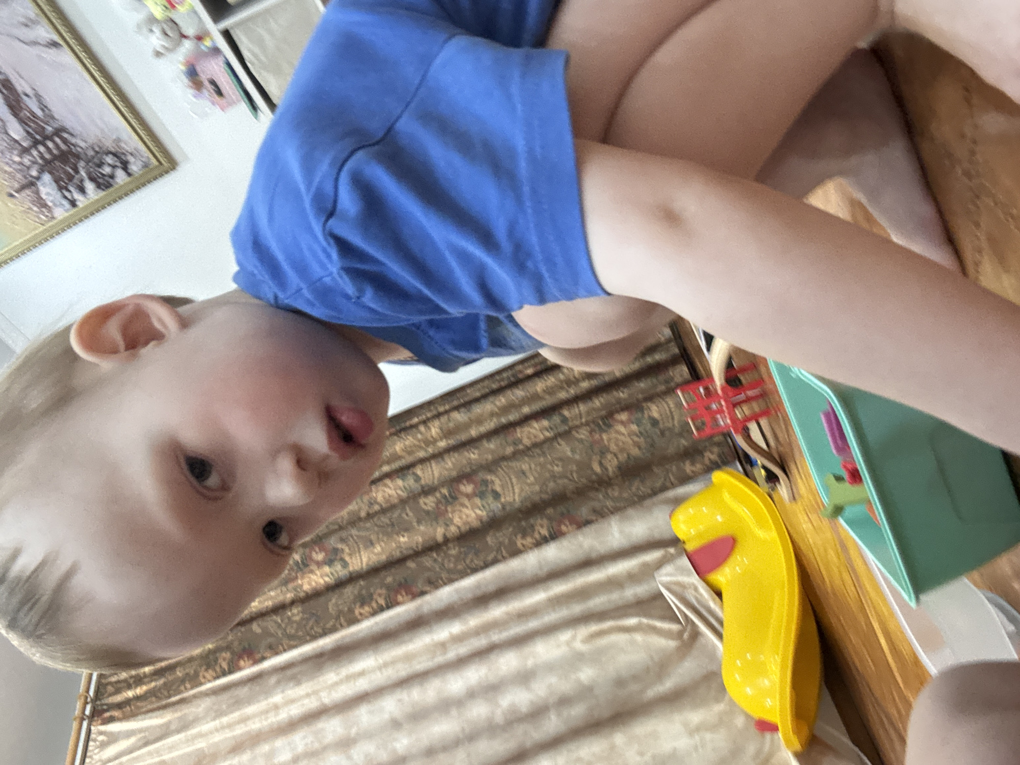 A child with blond hair and a blue shirt is in Ферма, Russia. There is a toy box and a yellow toy present. The scene is indoors.
