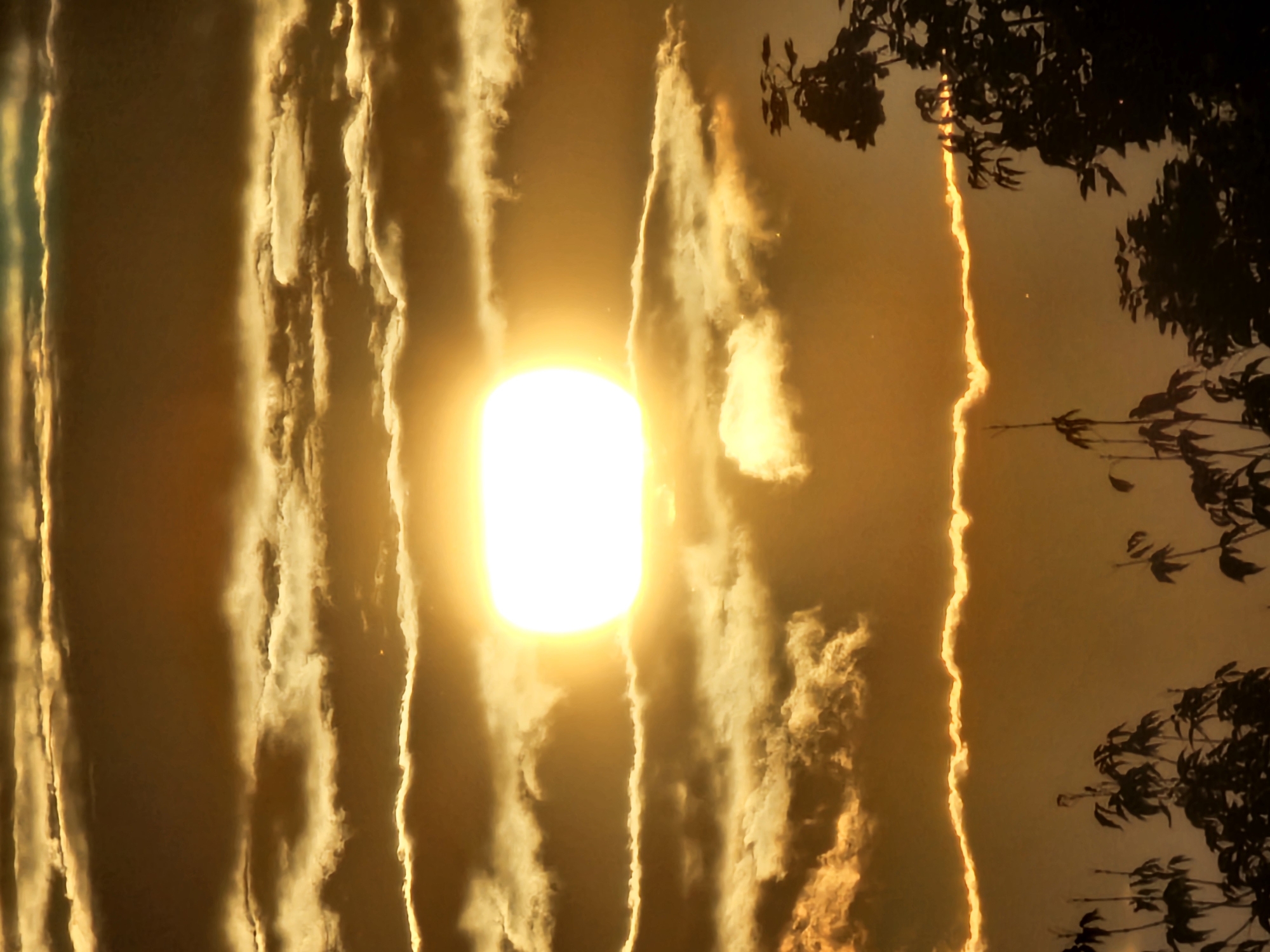 This is a photograph of a sunset over the city of Khimki, Russia. The sun is a bright, glowing orb in the center of the frame, partially obscured by horizontal bands of clouds. The clouds are illuminated by the setting sun, creating a dramatic effect with golden and orange hues. Silhouetted against the sky are the tops of trees and foliage in the foreground, suggesting a natural or park-like setting within the urban environment. The overall impression is one of a serene and beautiful natural phenomenon occurring in the context of a city.