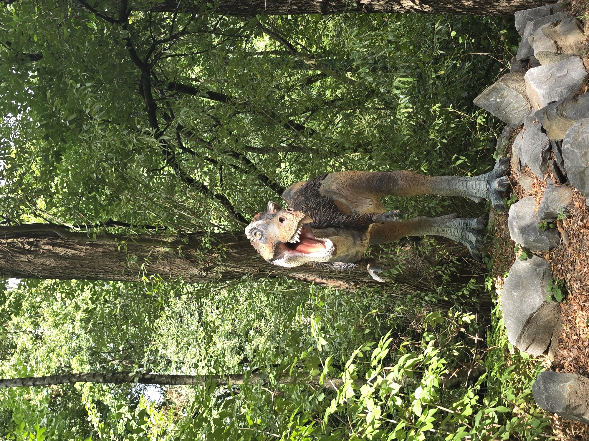 A model of a Tyrannosaurus Rex dinosaur is displayed in a forest setting, likely at the Vyškov Zoo in Vyškov, Czechia. The dinosaur model is positioned in the center of the frame, standing on its hind legs with its mouth open. It has brown and grey skin with dark brown fur around its neck. The dinosaur is surrounded by lush green trees and foliage. In the foreground, several large gray rocks are scattered on the ground, which is covered in fallen leaves and some small green plants. The lighting suggests it is daytime with sunlight filtering through the trees. There are no people or animals visible in the image.