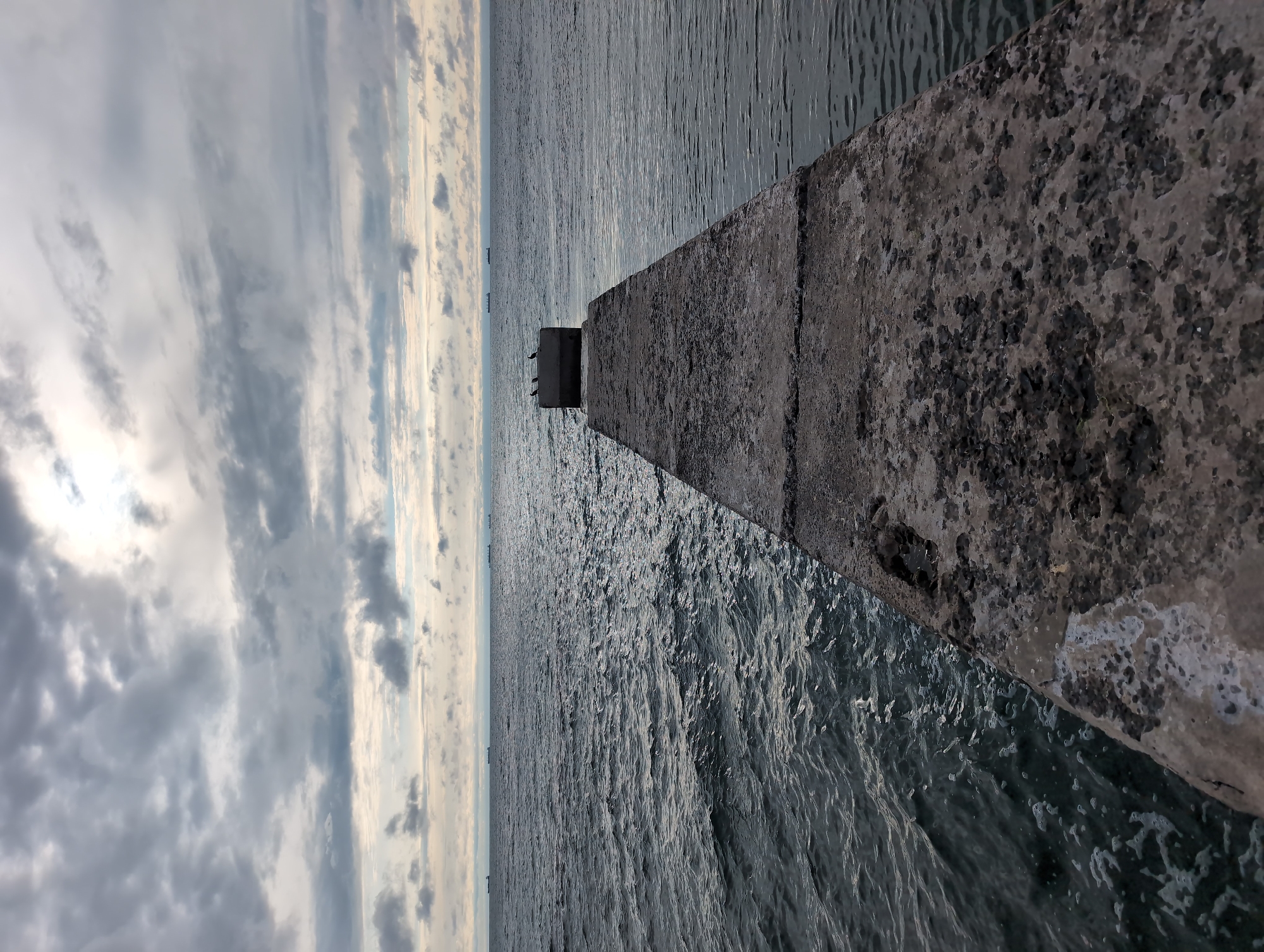 This is a vertical, eye-level, medium shot of a concrete pier extending into a choppy, dark gray sea under a cloudy sky. The pier is rough and weathered, with visible aggregate. At the end of the pier, three dark birds are perched on a concrete structure. In the distance, on the horizon, several large cargo ships are visible. The sky is filled with layered, gray clouds, with patches of brighter sky and sunlight breaking through in the upper center. The scene is likely located in Odesa, Ukraine, given the presence of cargo ships on the Black Sea.