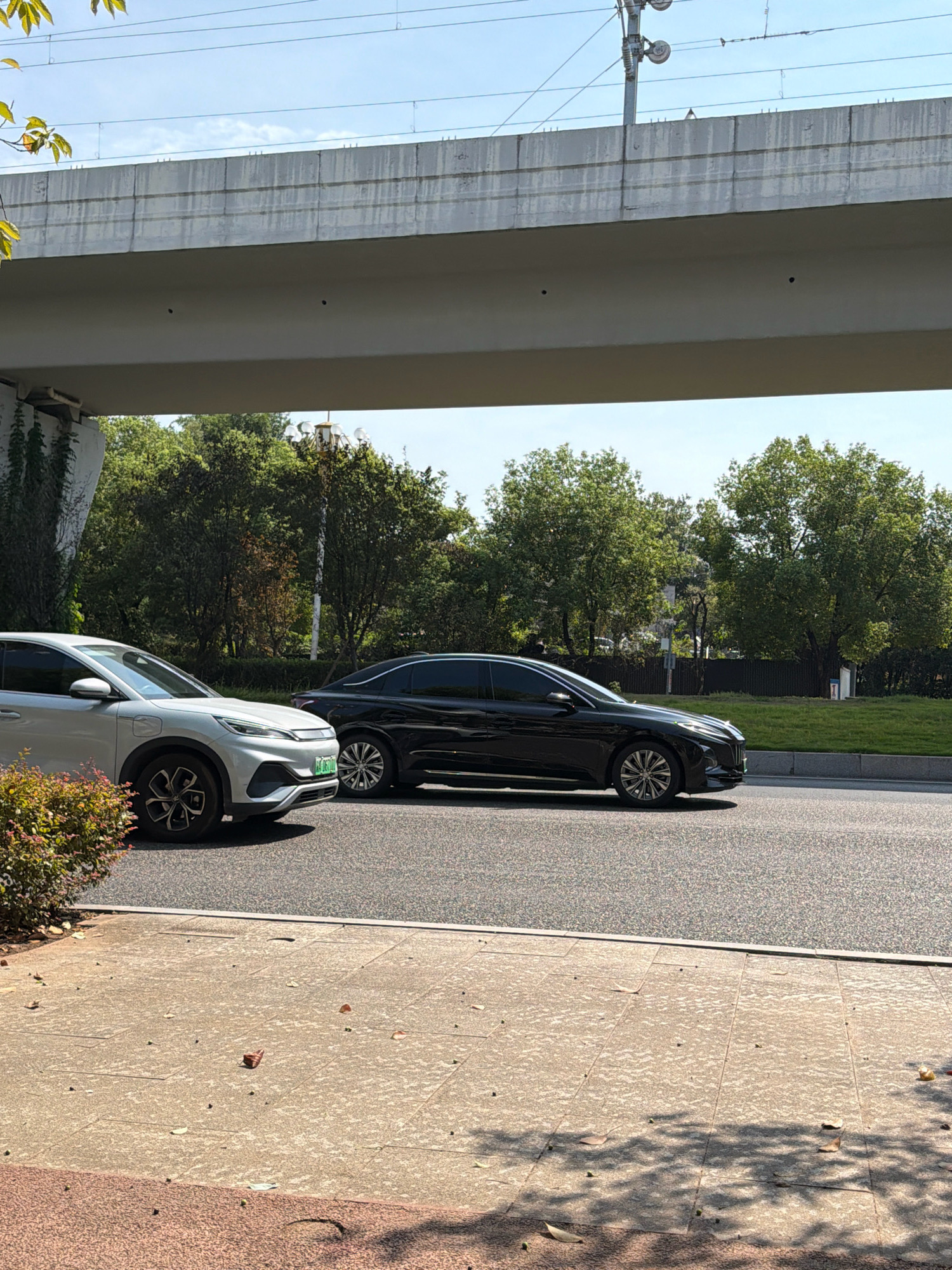 In Jiangjin, China, two cars are seen on a road under a concrete overpass. The car on the left is a silver SUV, partially obscured by a bush in the foreground. The car on the right is a black sedan. The road is paved with asphalt and bordered by a grassy area with trees. Overhead, electrical wires and a portion of the overpass structure are visible against a clear blue sky. The foreground consists of a pedestrian walkway made of square concrete tiles, with scattered leaves and shadows from unseen trees.