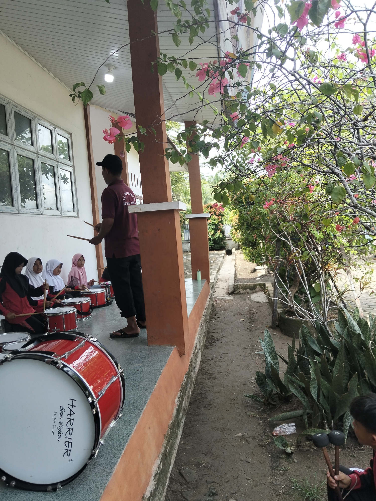 In front of a building with an orange and white facade, several young girls wearing hijabs are seated on the ground, holding drumsticks. They are arranged in a line, facing a man who is standing and appears to be instructing them. The man, wearing a maroon t-shirt with text on the back and a black baseball cap, is also holding drumsticks. Red drums are placed in front of each girl. To the right of the scene, a pathway runs alongside a lush green area with trees and pink bougainvillea flowers. The pathway is made of dirt and concrete. In the foreground, a large red drum with white accents is visible. The overall setting suggests an outdoor music lesson or practice session in Keudejungkagajah, Indonesia.