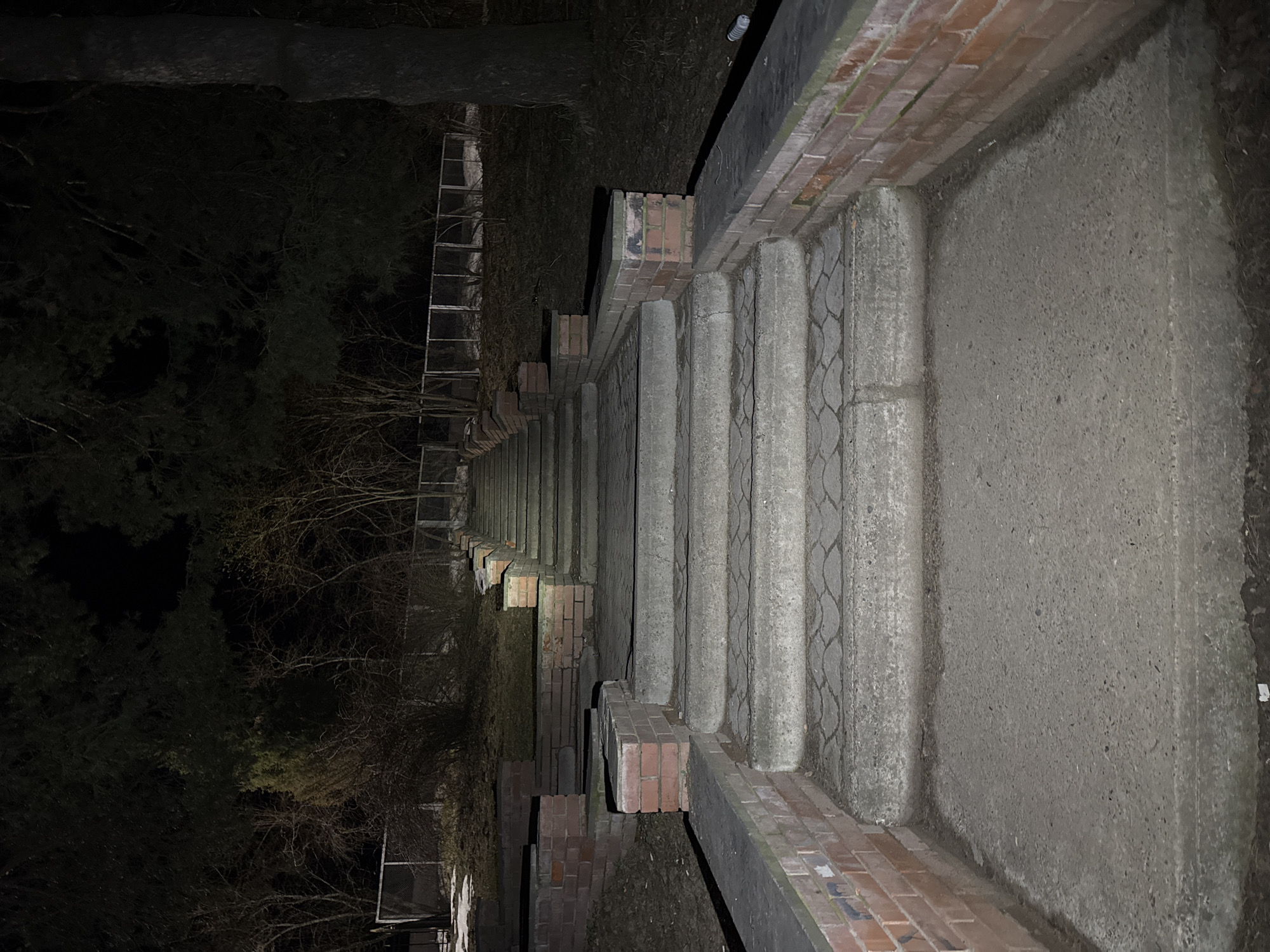 This is an image of a long, concrete staircase with brick trim. The staircase descends steeply away from the viewer, appearing to lead into darkness due to the night-time setting. A metal ladder is visible near the top of the staircase on the left. The location is Chaikovsky, Russia. There are no people visible in the image. The environment is dark, with trees and other vegetation visible on the left side of the staircase. There are some buildings visible in the background on the left.