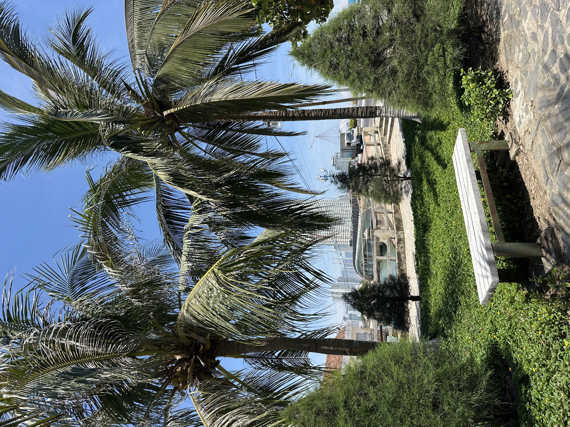 In Nha Trang City, Vietnam, a picturesque scene unfolds with lush greenery and architectural elements. In the foreground, a stone bench sits amidst vibrant green grass dotted with small yellow flowers. To the left and right, well-maintained evergreen trees frame the view. Behind them, tall palm trees reach towards a clear blue sky, their fronds swaying gently. In the middle ground, a paved walkway runs alongside a body of water, bordered by a concrete railing. Beyond the walkway, a bridge with elegant curves spans the water, with a few small trees planted along its path. In the distance, a cluster of modern high-rise buildings forms the city skyline, interspersed with traffic lights and street lamps. A white truck is visible on the road, suggesting ongoing activity. The overall impression is one of a tranquil park setting within an urban environment.