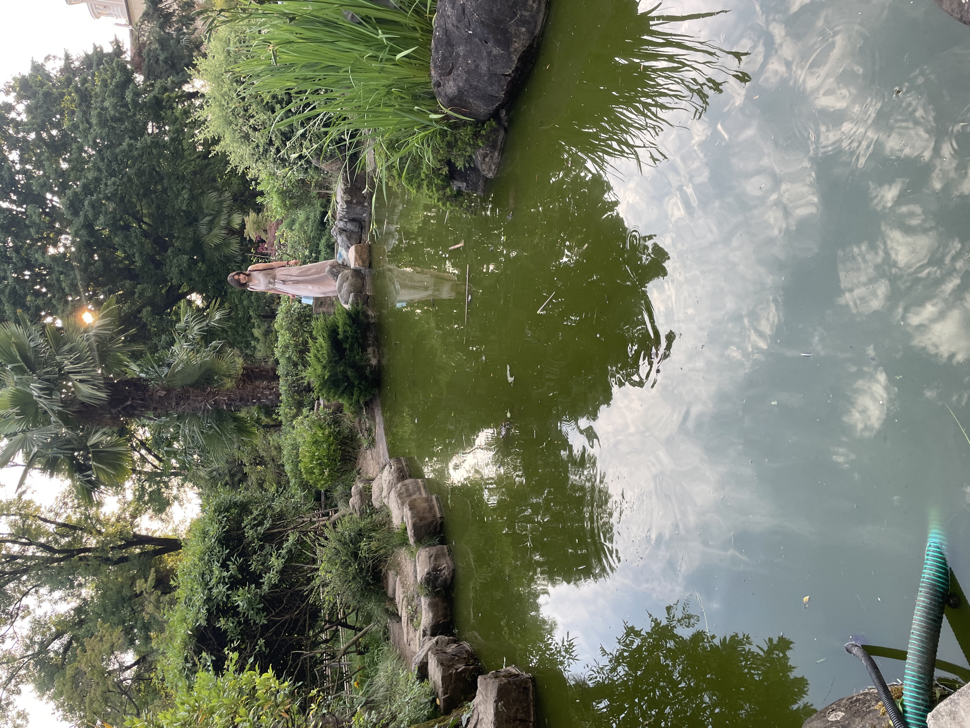 A woman in a long, light-colored dress stands on rocks near the edge of a pond in a garden setting. The pond water is green and reflects the sky and surrounding trees. Tall green reeds grow along the right side of the pond, and a large black rock is visible in the water. In the background, lush green bushes and trees create a dense foliage. A large palm tree stands prominently on the left side of the image. The sun is setting, casting a warm glow through the trees, and a building with a dome is partially visible in the upper right background. The overall scene appears to be a peaceful, naturalistic garden. The location is believed to be Sochi, Russia.