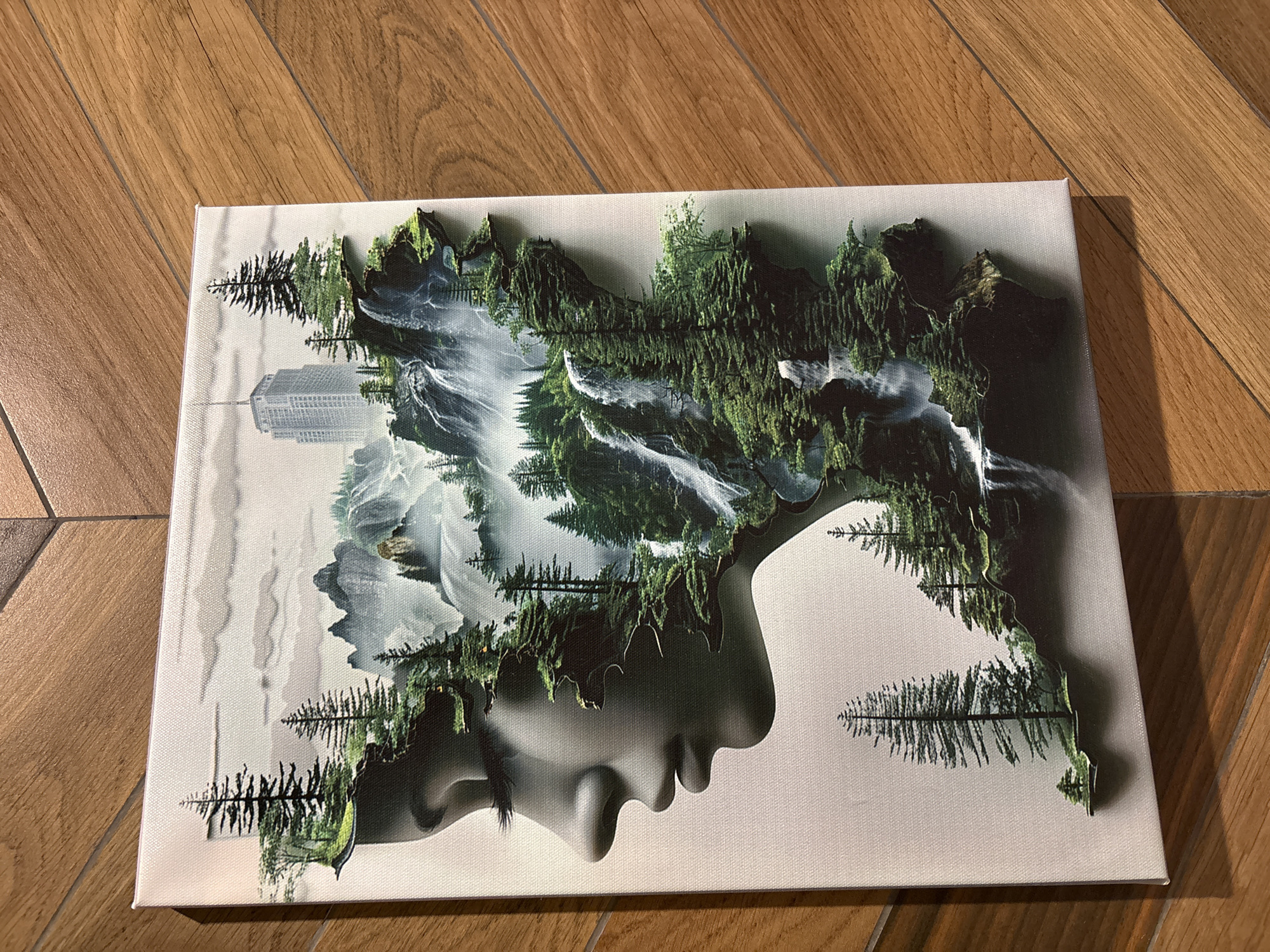 A rectangular canvas print lies on a wood-look floor. The print features a composite image showing a gray-scale side profile of a face overlaid with a vibrant landscape dominated by green trees, waterfalls, and mountains. A tall building or skyscraper is also visible within the landscape. The face appears to be in repose, with a closed eye and slightly parted lips. The canvas print is slightly angled, with the bottom corner closer to the viewer. The lighting suggests an indoor environment with a direct light source causing shadows. The location, Neftekamsk, Russia, cannot be confirmed solely from the visual content.