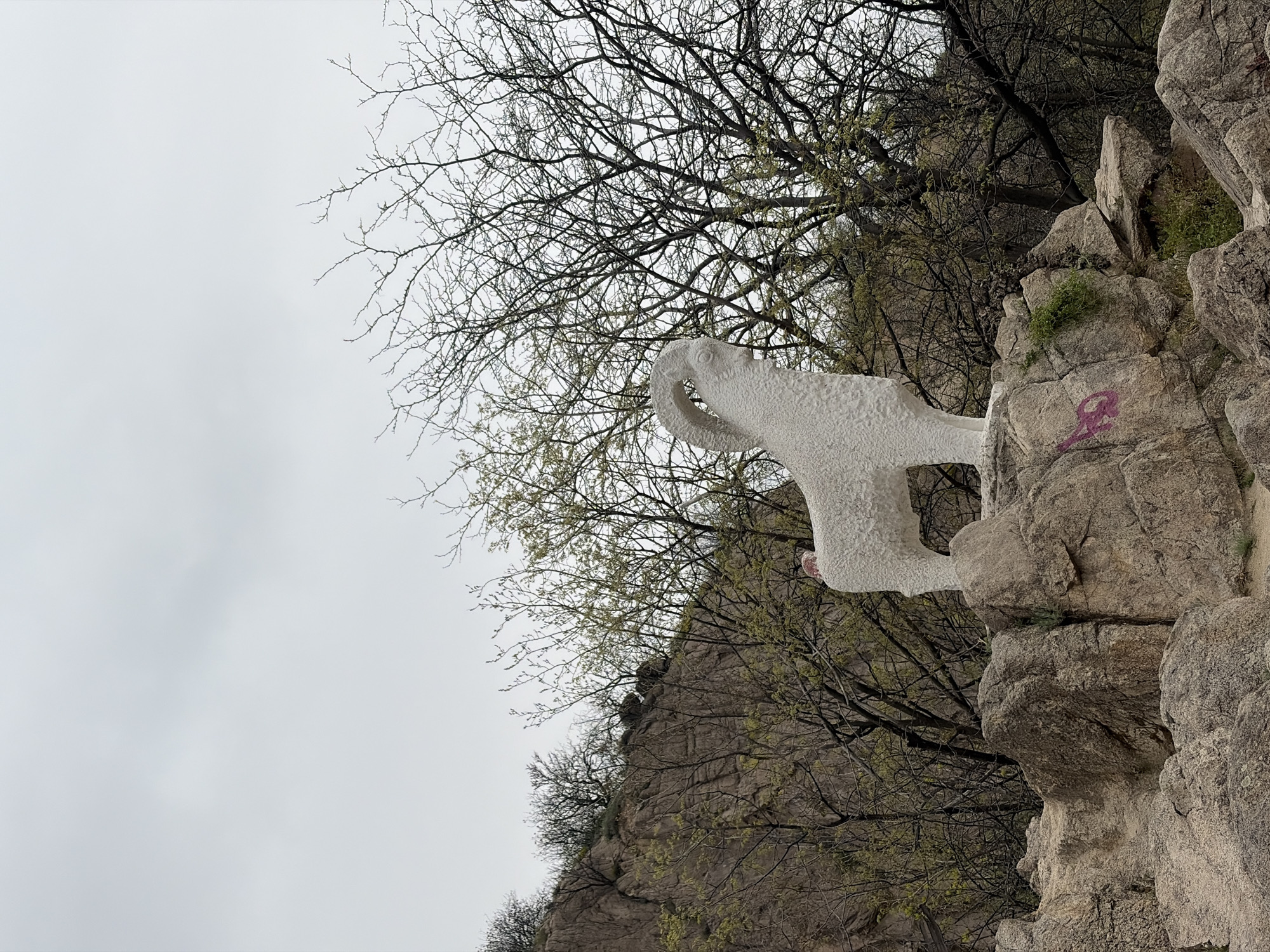 A low-angle, rotated outdoor shot features a white ram sculpture perched atop rock formations in Plovdiv, Bulgaria. The sculpture is positioned on a ledge of light gray rocks. The sculpture's mouth has a pink coloration. A pink graffiti mark is visible on the side of the rocks. Behind the rock formations and the sculpture is a dense growth of bare trees, and trees that are just beginning to sprout leaves. An overcast, light gray sky is in the background. The image is rotated counterclockwise approximately 90 degrees.