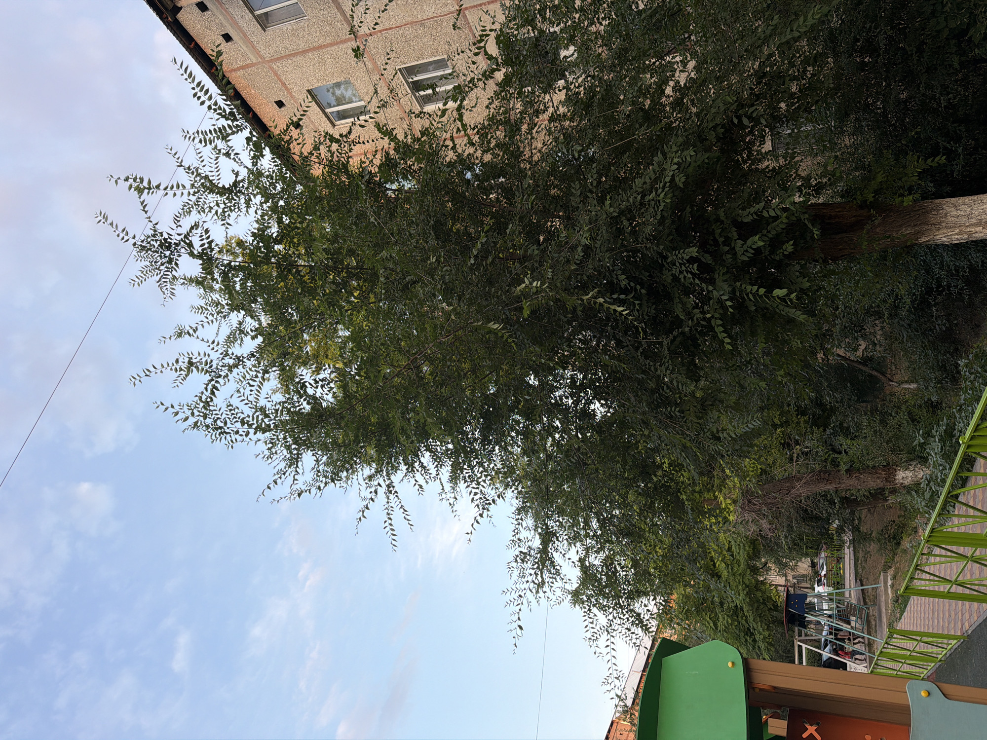 This media file captures a low-angle view of a building facade and a tree's foliage against a bright, cloudy sky. The building, situated in Shymkent, Kazakhstan, appears to be an apartment complex with a textured, light-colored exterior. Several windows are visible on its upper floors. The tree, dominant in the foreground, has dense green leaves and branches that extend towards the sky and obscure parts of the building. A wire runs diagonally across the frame. Below the tree and building, a section of a playground with green and brown structures is visible, along with a green metal railing. The scene suggests an outdoor setting, likely a residential area or a park with a playground, under daytime conditions with diffused sunlight. No people are visible in the frame.