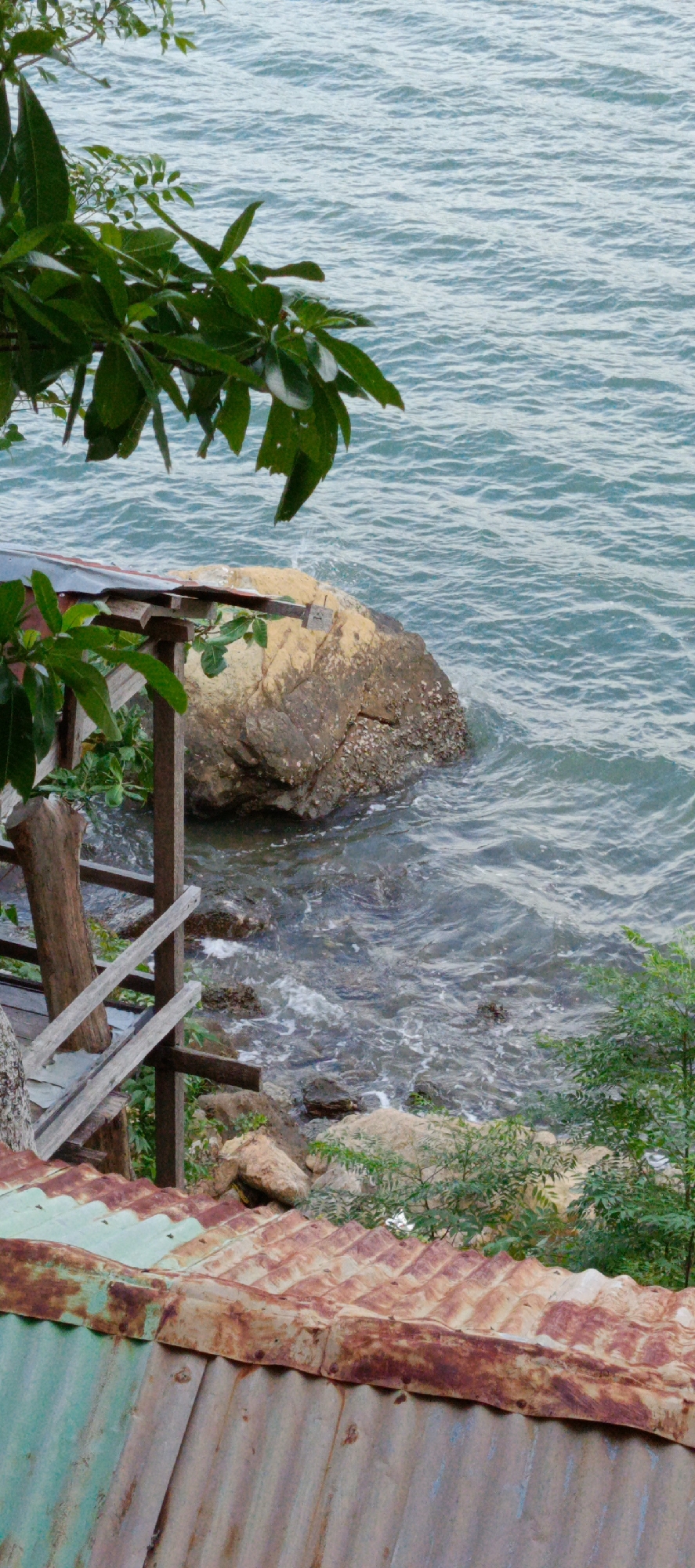 The image depicts a coastal scene with a weathered, corrugated tin roof in the foreground, exhibiting patches of rust and faded green paint. Beyond the roof, a small wooden structure with unfinished wooden supports and railings is visible, leading towards the water. A large, rough-textured rock, encrusted with barnacles, juts into the sea, with waves gently lapping around it. Lush green foliage, including large leaves and smaller branches, overhangs the scene from the left and further back on the right, framing the view of the turquoise-colored water. The water is slightly choppy, with small whitecaps indicating movement. The overall impression is one of a rustic, possibly abandoned, coastal dwelling or structure in a natural, seaside environment.