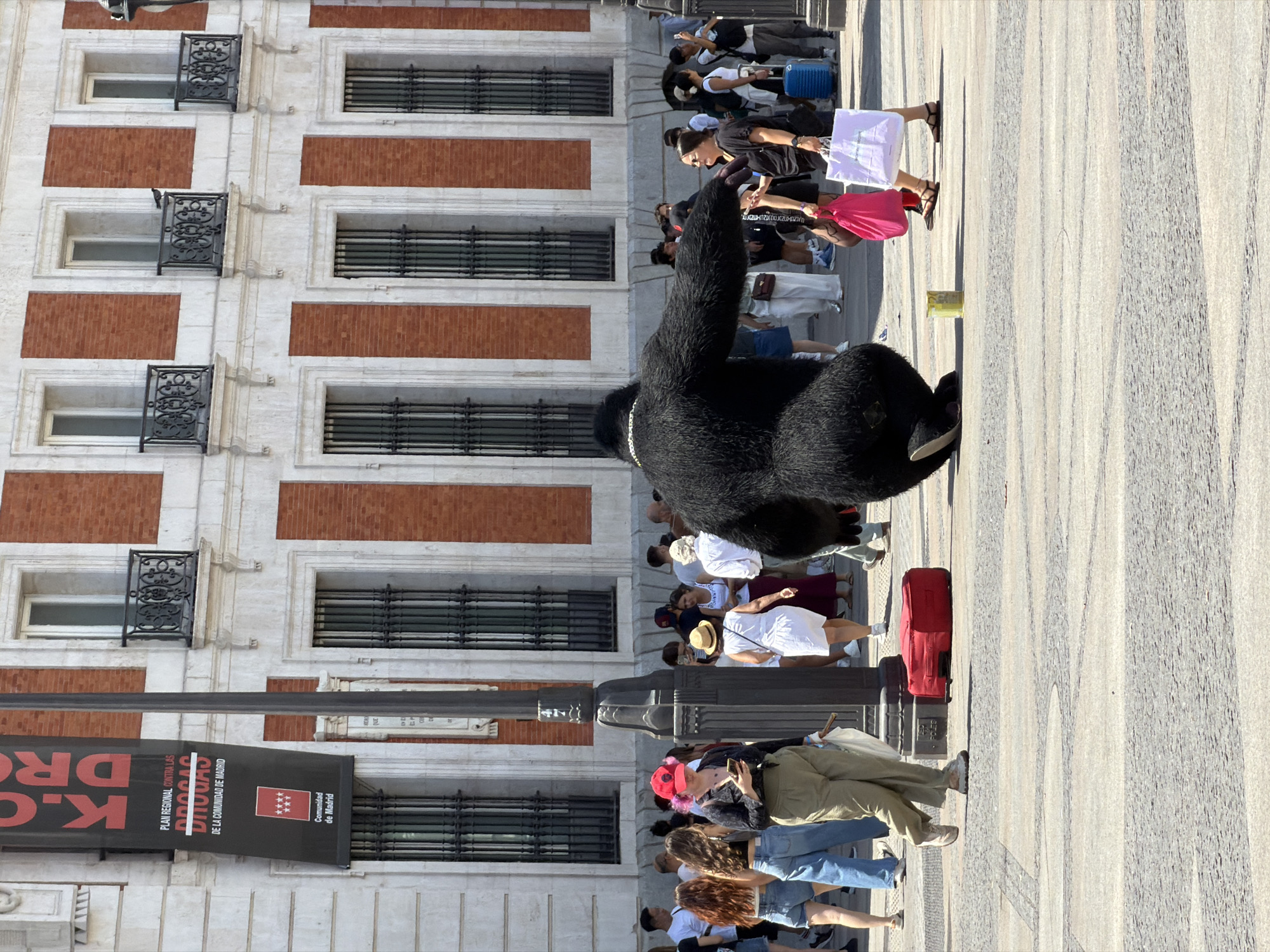 The image depicts a street scene in Madrid, Spain, likely in a public square, given the presence of a large building with classical architecture and people milling about. The main focus is a person in a gorilla costume, standing on a paved ground with visible white lines, possibly indicating a pedestrian crossing. The gorilla costume is black and appears to be made of fur, with a chain around its neck. It is positioned facing away from the camera, with its right arm extended towards the right of the frame.
Several people are visible in the background, some walking, others standing and observing. To the left of the gorilla, a woman wearing a red hat and green pants is looking at her phone. In the middle ground, a woman in a white dress and a straw hat is walking away from the camera. To the right, two women are walking towards the right, one carrying a pink bag and the other a white shopping bag. A bright blue suitcase is also visible near them.
A lamppost is prominently located to the left of the gorilla. In the background, a large building with red brick and white stone elements features several windows with decorative balconies and metal bars. A banner with text and a logo, possibly related to a public service campaign from the Community of Madrid, hangs on the left side of the building. A red suitcase lies on the ground near the lamppost. A yellow cylindrical object, possibly a donation tin, is placed on the ground in front of the gorilla. The overall environment suggests a sunny day in an urban setting.