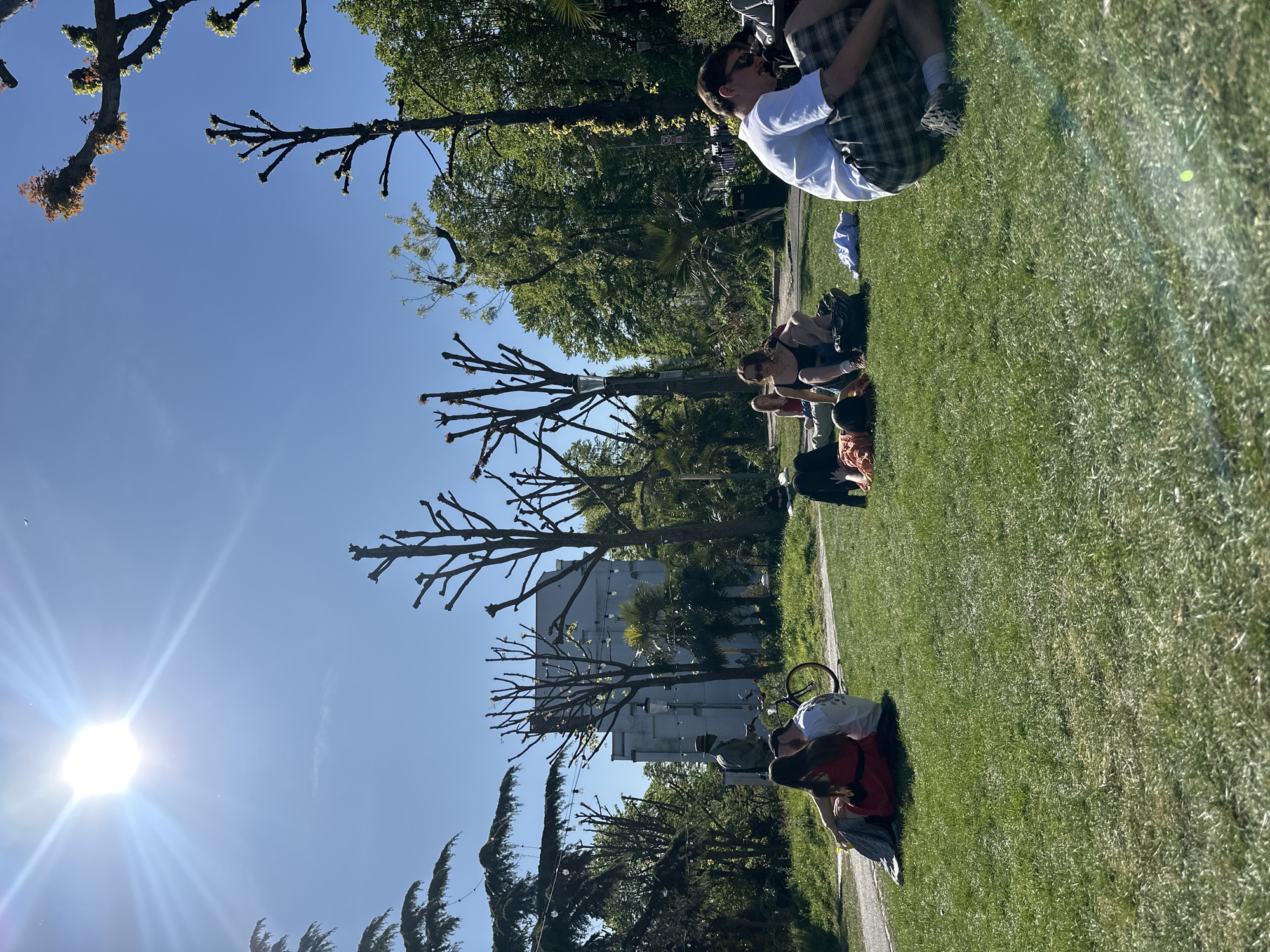 The image shows a group of people relaxing on a grassy area, likely a park or garden, on a sunny day. The perspective is rotated counterclockwise. People are seated or lying down on the grass, some interacting with each other. A bicycle is visible on the edge of a pathway. The location is likely in London, United Kingdom, judging by the style of architecture and trees. The image includes buildings in the background and trees with trimmed branches. The sky is bright blue, with the sun visible.