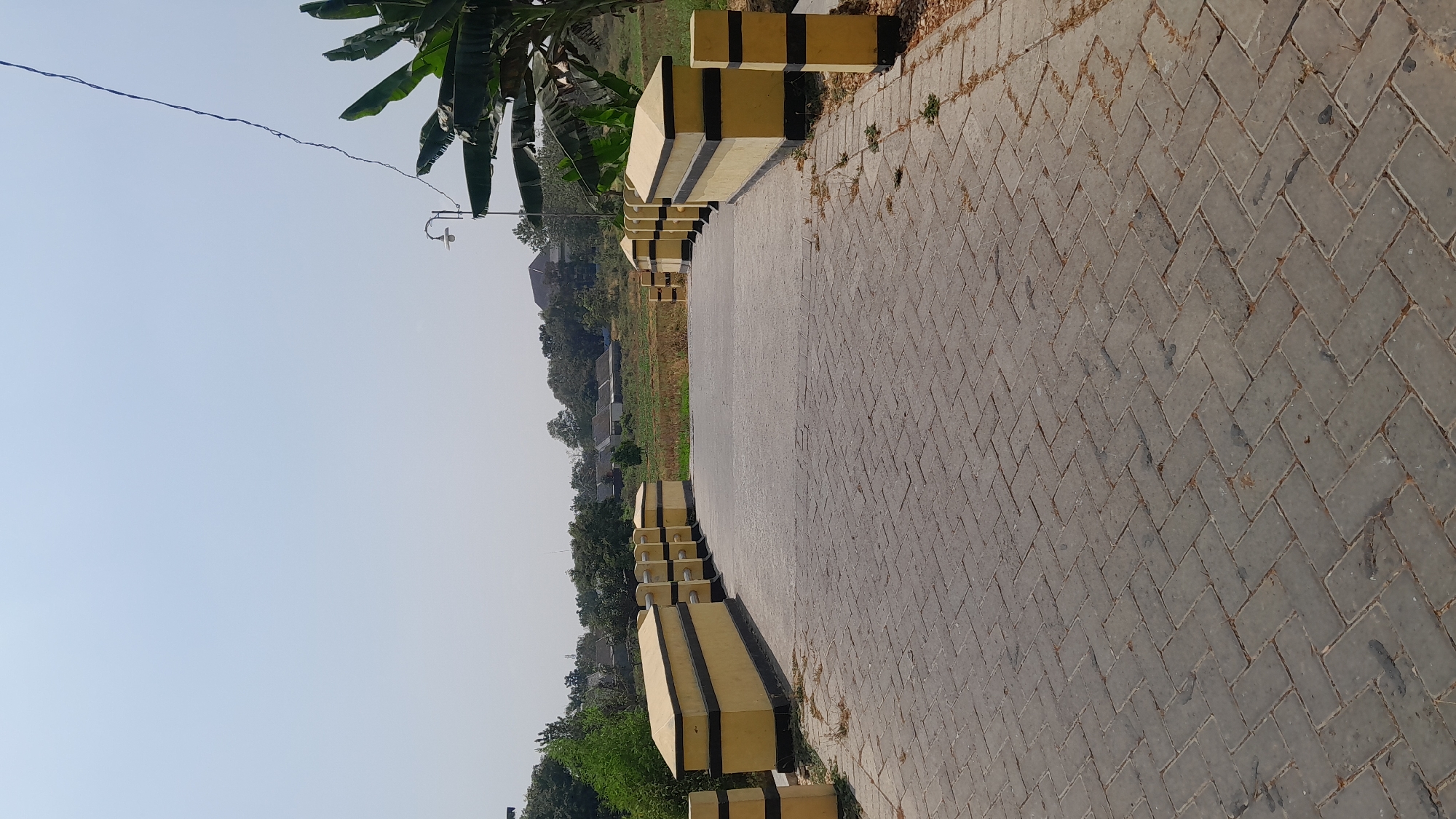 The image shows a paved pathway leading towards a bridge. The pathway is made of interlocking grey bricks laid in a herringbone pattern. On either side of the pathway leading up to the bridge, there are concrete barriers painted bright yellow with black stripes. These barriers are segmented by short yellow posts topped with yellow caps. The bridge itself appears to have a grey paved surface.
In the background, beyond the bridge, there is a field of dry grass and some scattered houses with red tile roofs, suggesting a rural or semi-rural residential area. To the right of the bridge, there is a tall, slender lamppost with a single light fixture, and behind it, a large banana tree with broad green leaves is visible. The sky is a pale blue with no clouds. A thin black electrical wire stretches across the upper right portion of the frame. The image is taken from a low angle, looking forward along the pathway and bridge.