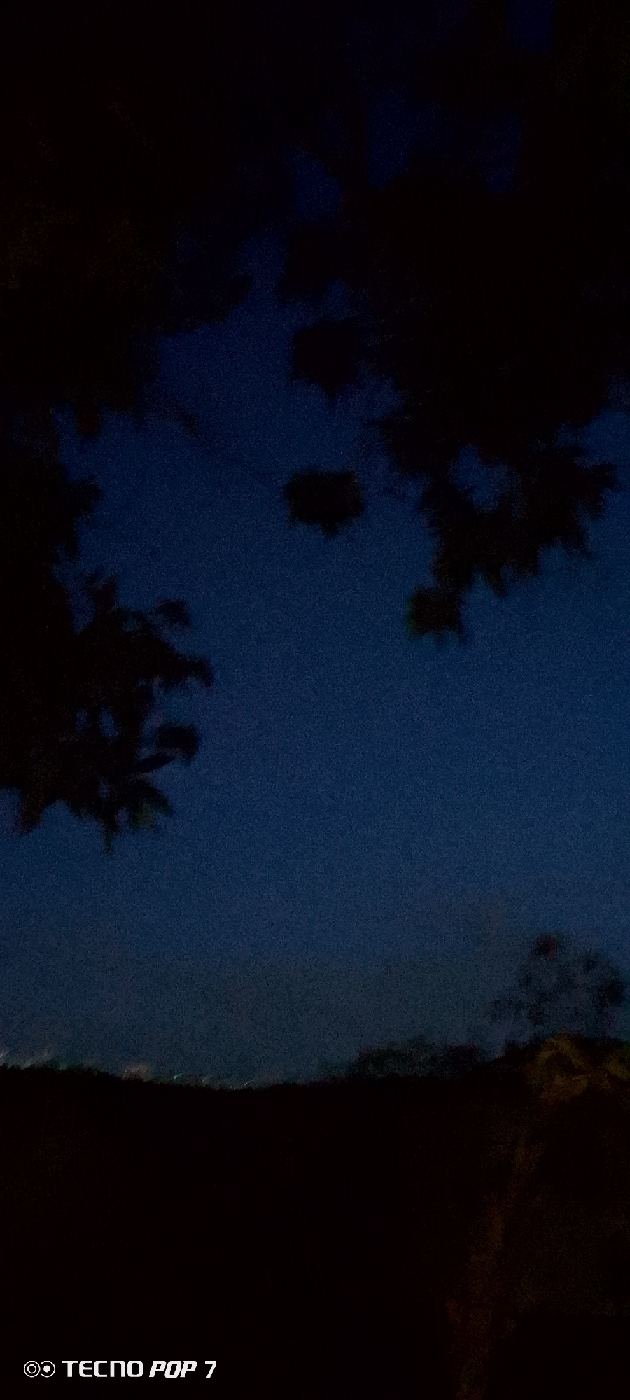 The image shows a dark, low-light scene, likely taken at dusk or night. Silhouetted tree branches are visible in the upper portion of the frame against a dark blue sky. In the lower section, a dark, indistinct landmass or hill is present, with hints of faint lights along the horizon, suggesting a distant urban area. The location is potentially Altagracia, Venezuela, based on context.